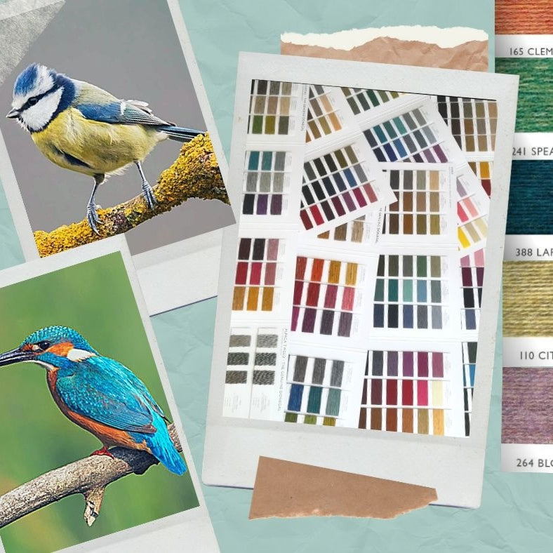 Collage featuring two birds on branches and brown powder, surrounded by color samples, highlighting nature-inspired color palettes.