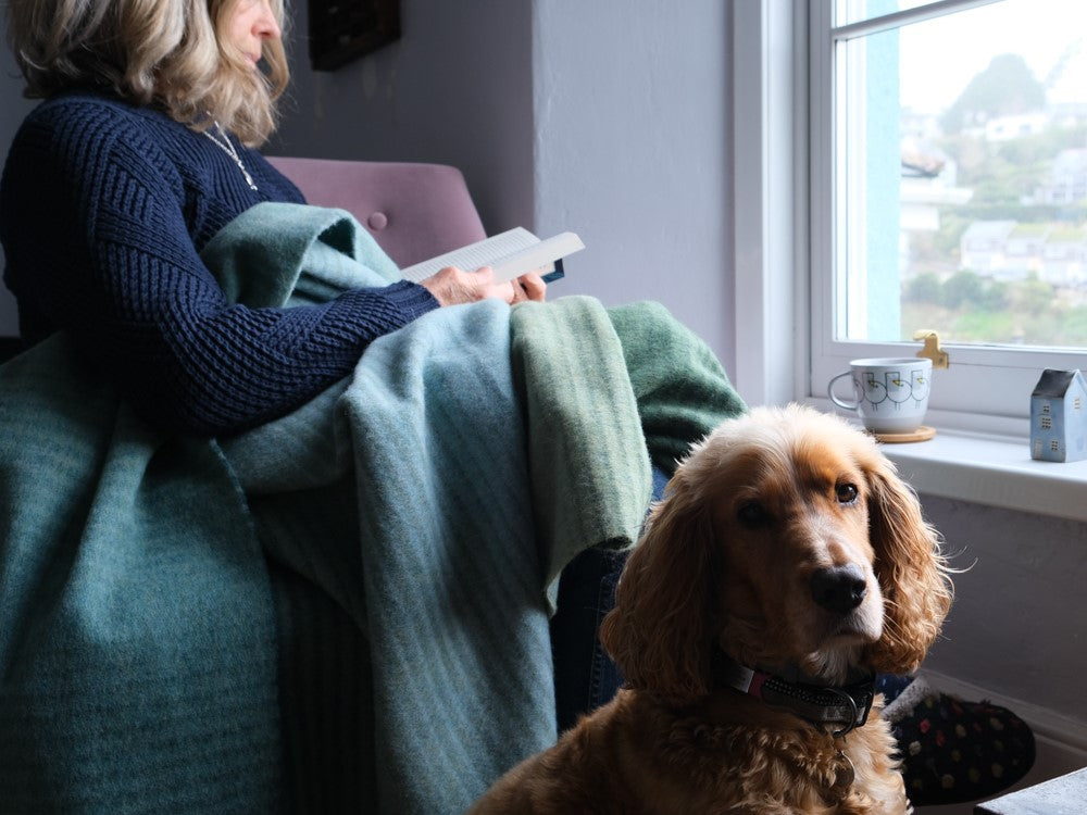 A woman sitting in a chair reads a book with a dog beside her, near a window with a city view.