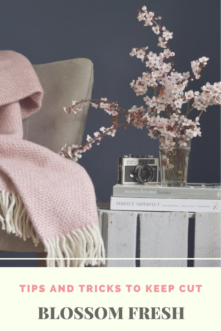 A pink blanket draped over a chair with a vase of white flowers on a table, accompanied by a camera.
