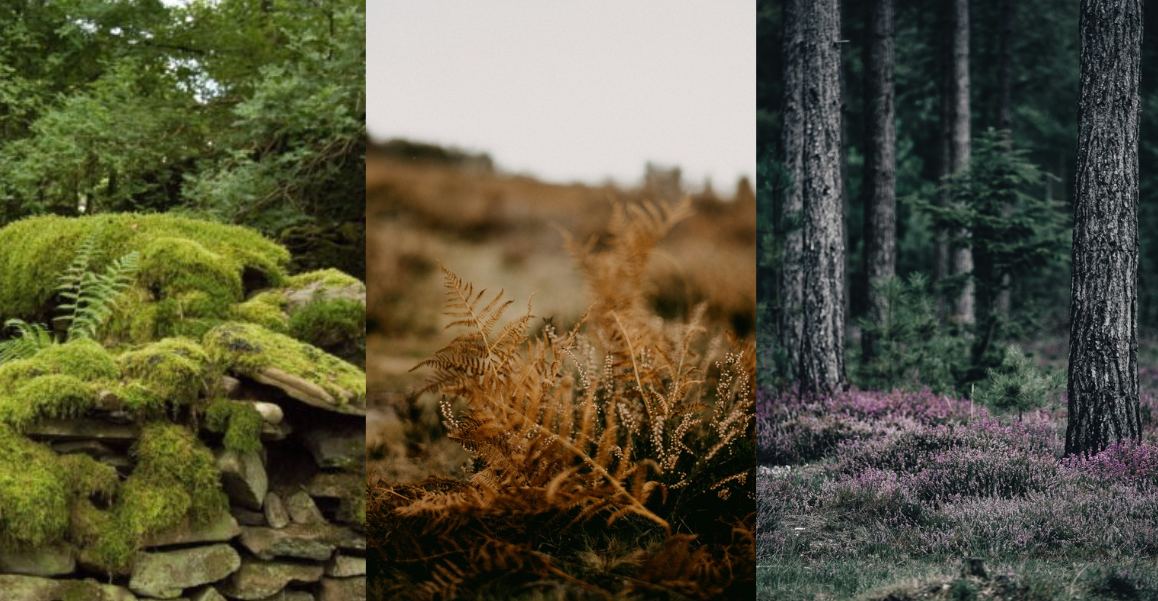 Autumn Colour Trends: 3 Palettes Guaranteed To Make You Feel Cosy