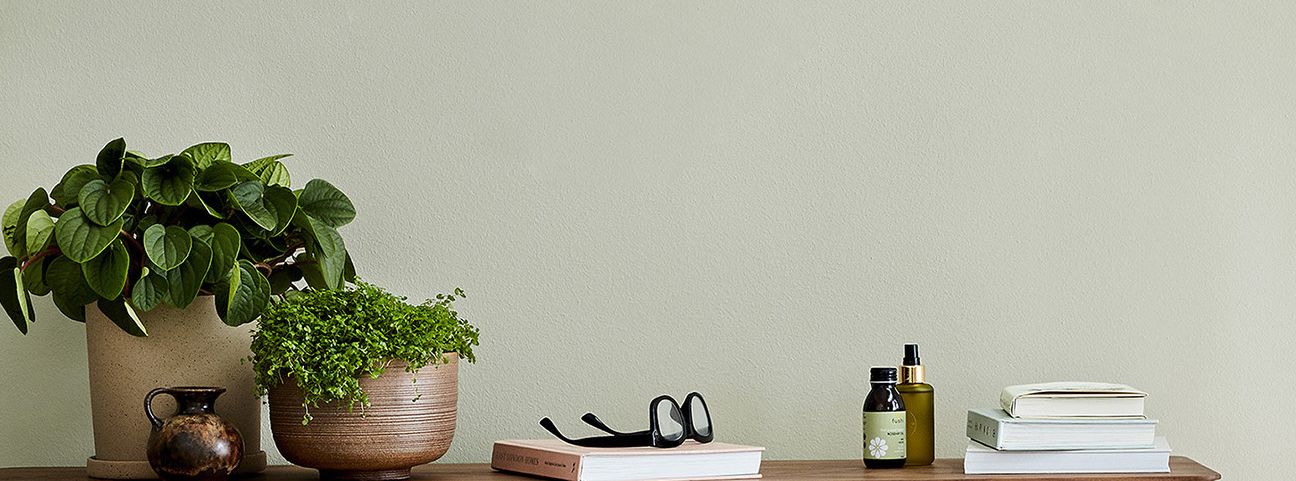 Fight The Plastic Pollution Hiding in Your Home