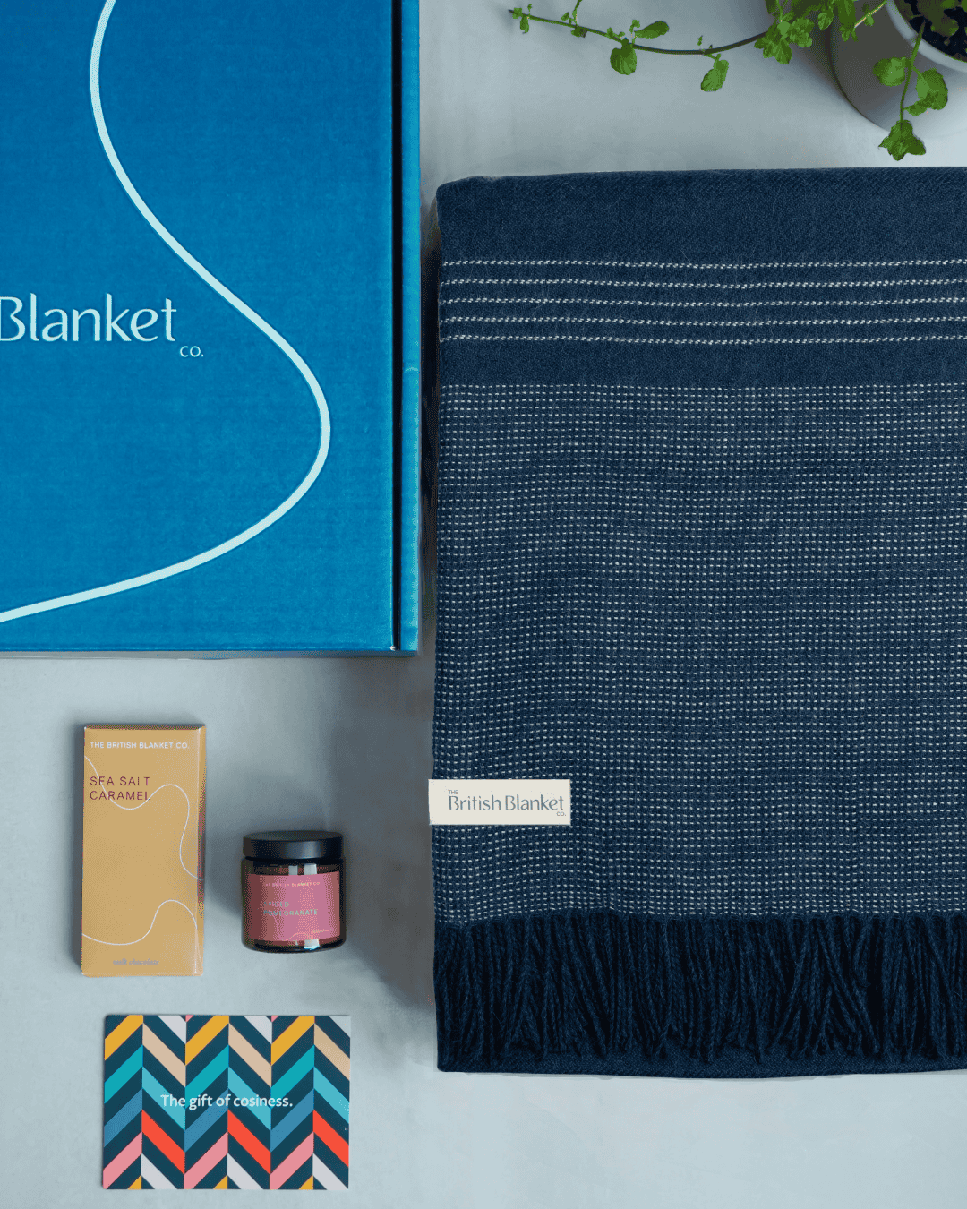 Alpaca Blanket Gift Box: Teal Blue
