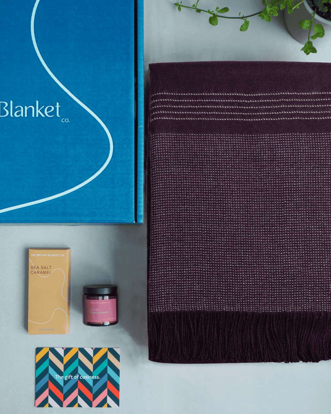 Alpaca Blanket Gift Box: Berry Purple