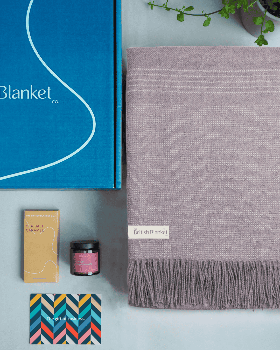 Alpaca Blanket Gift Box: Heather Pink