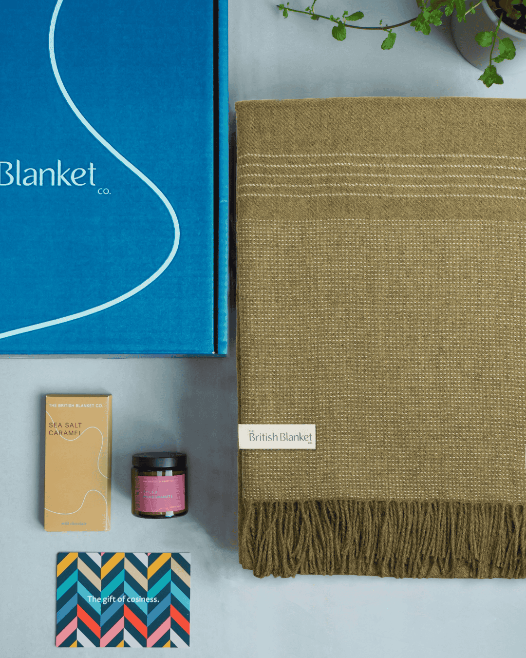 Alpaca Blanket Gift Box: Golden Moss
