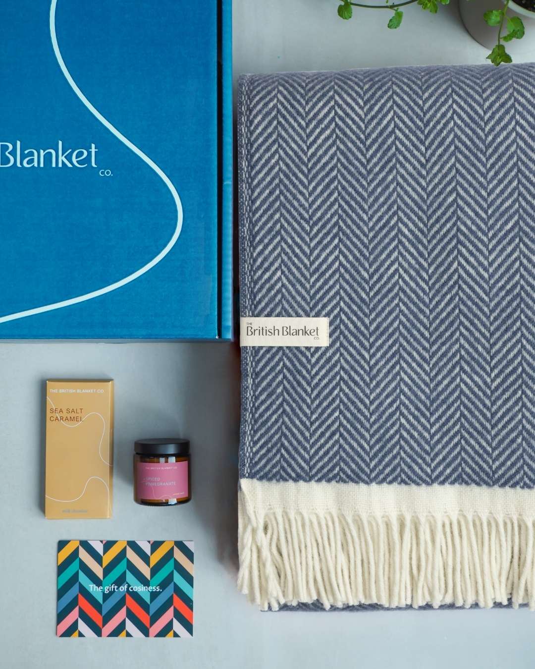 Clifton Blanket Gift Box: Steamship