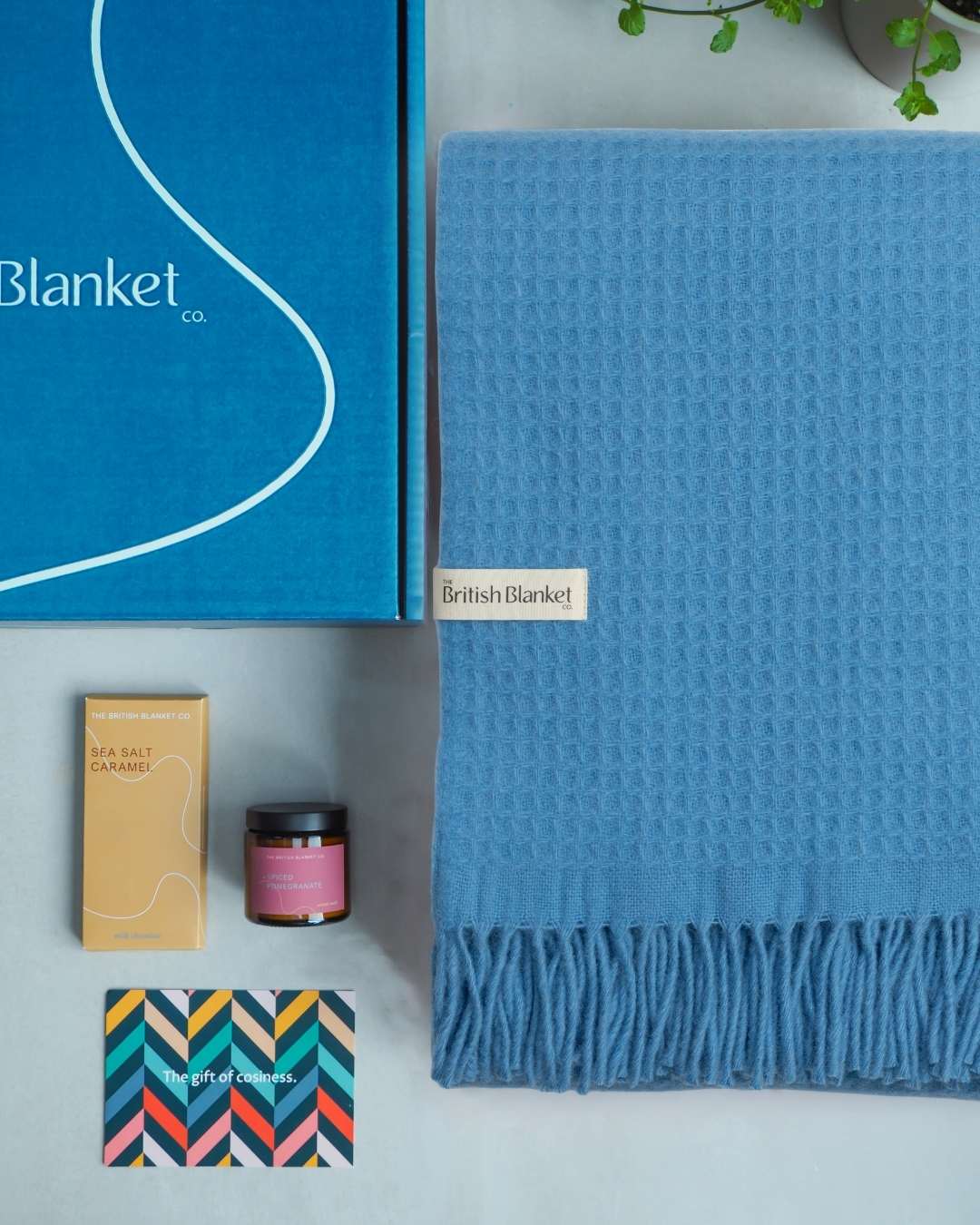 Totterdown Blanket Gift Box: Lido