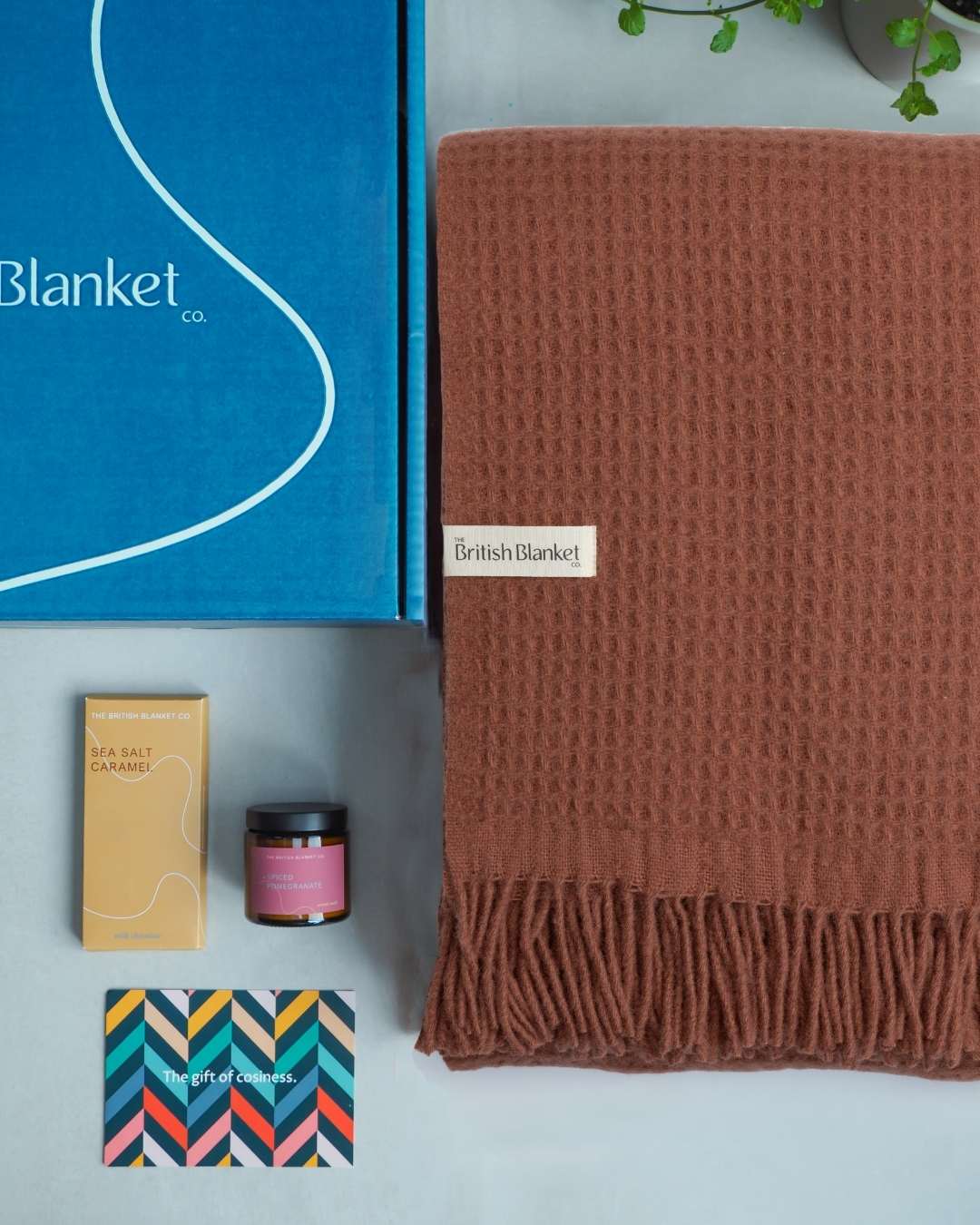 Totterdown Blanket Gift Box: Brunswick