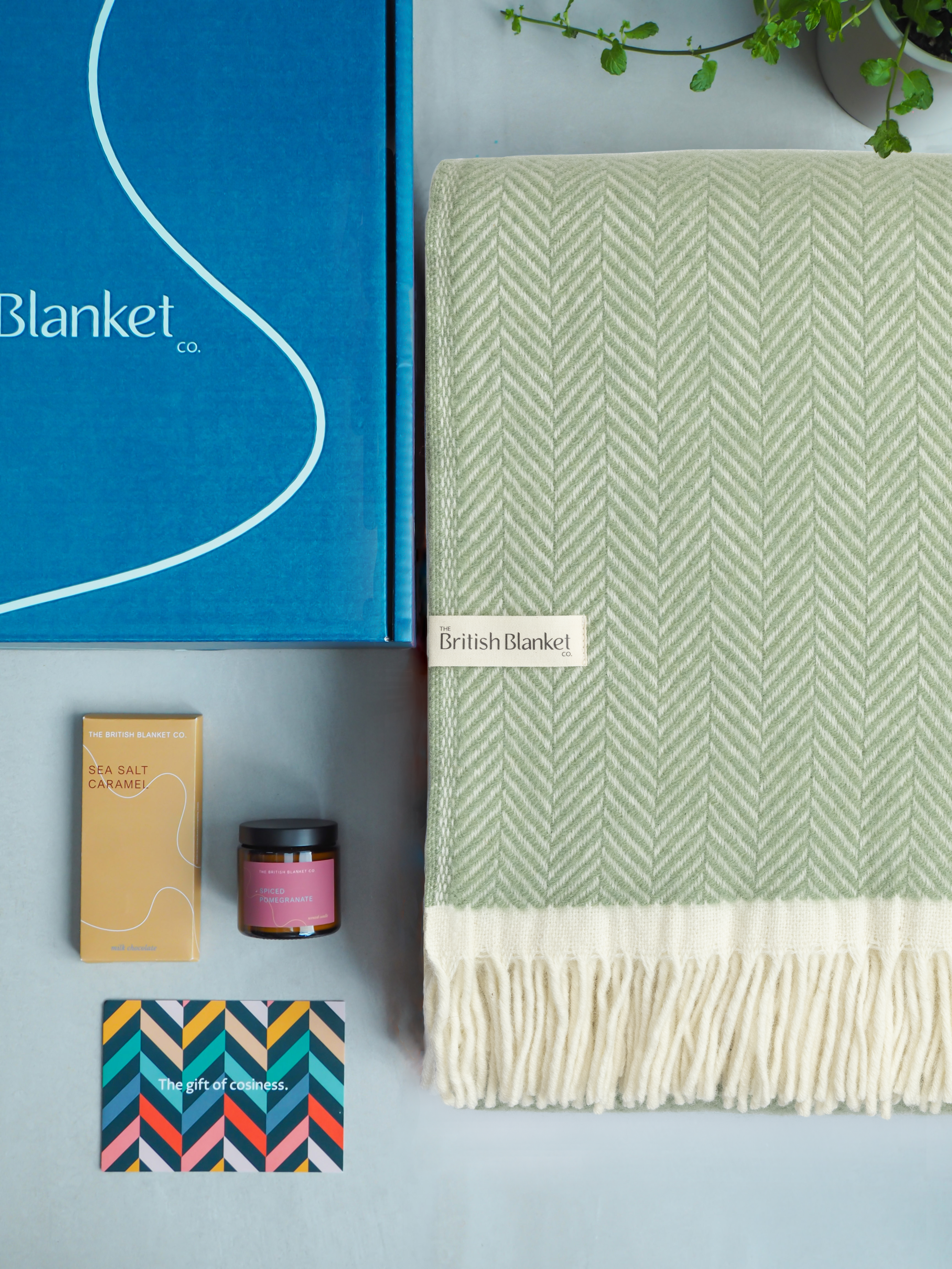 Clifton Blanket Gift Box: Birdcage
