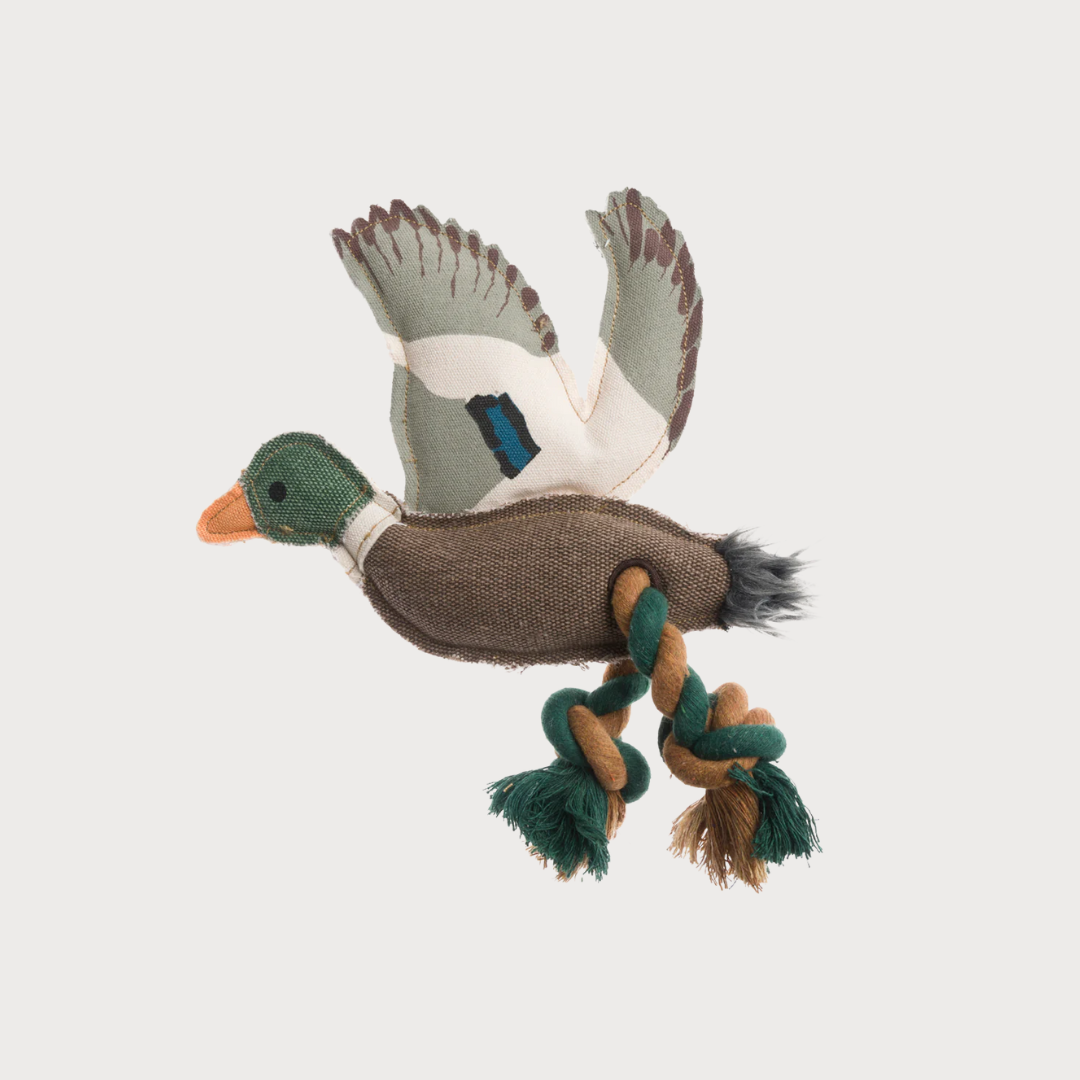 Duck Dog Toy: A fabric mallard-shaped toy with a stuffed body, braided rope legs, and a tufted tail, designed for chewing and pulling fun.