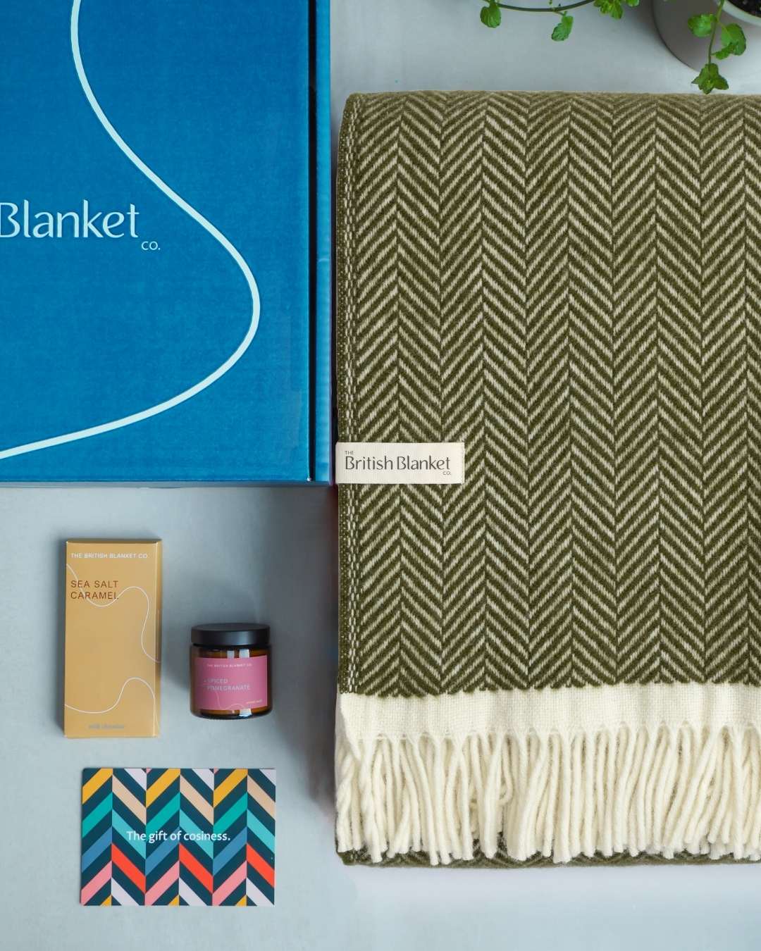 Clifton Blanket Gift Box: Blaise