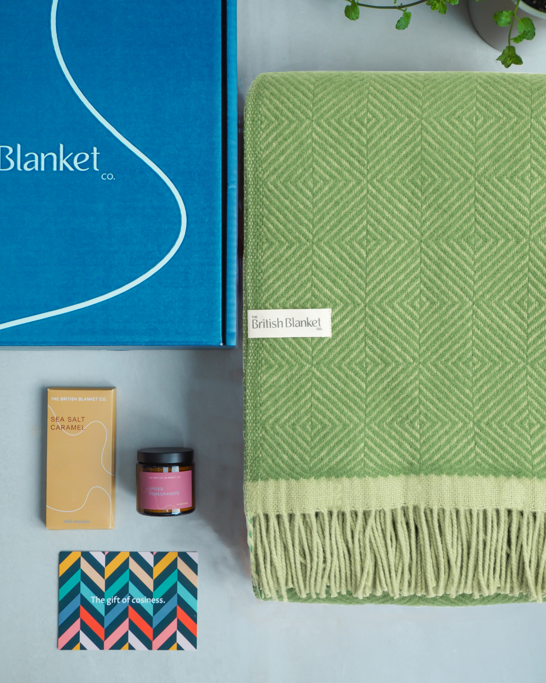 Wildweave Blanket Gift Box: Fennel & Catkin