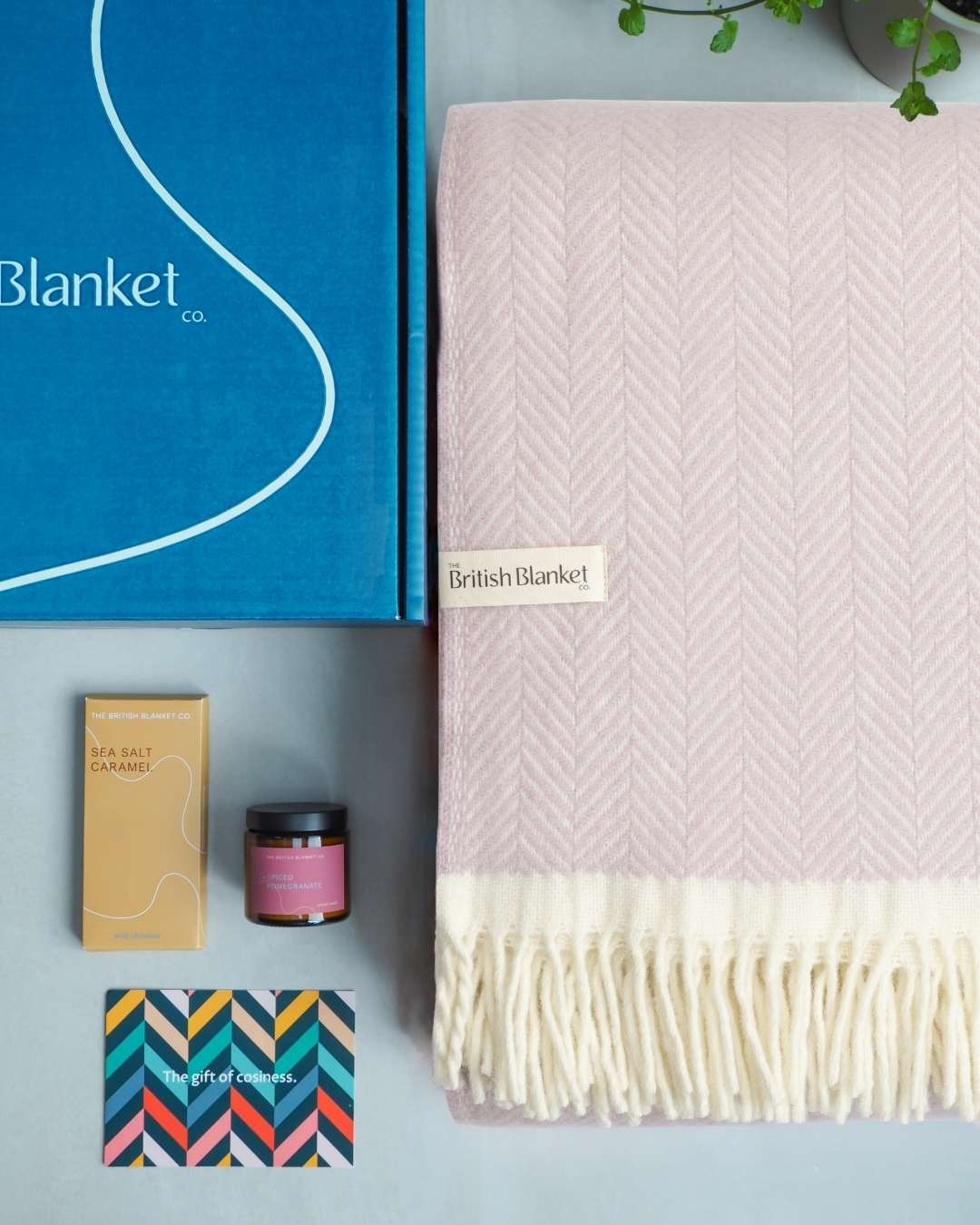 Clifton Blanket Gift Box: Polygon