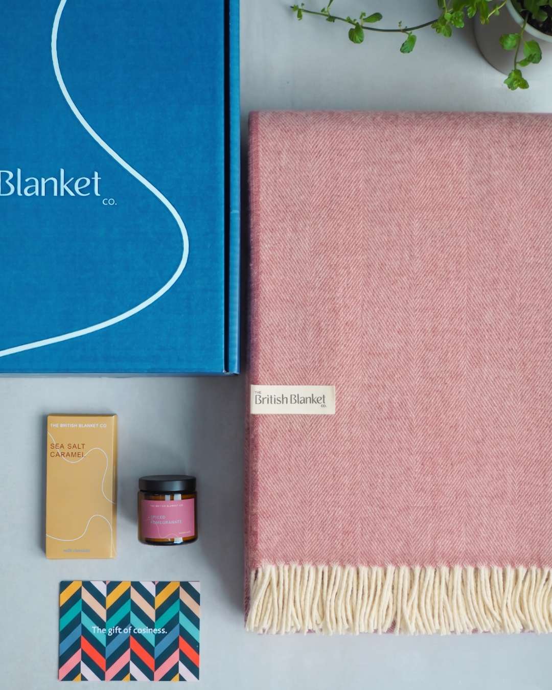 Merino Blanket Gift Box: Blush Pink