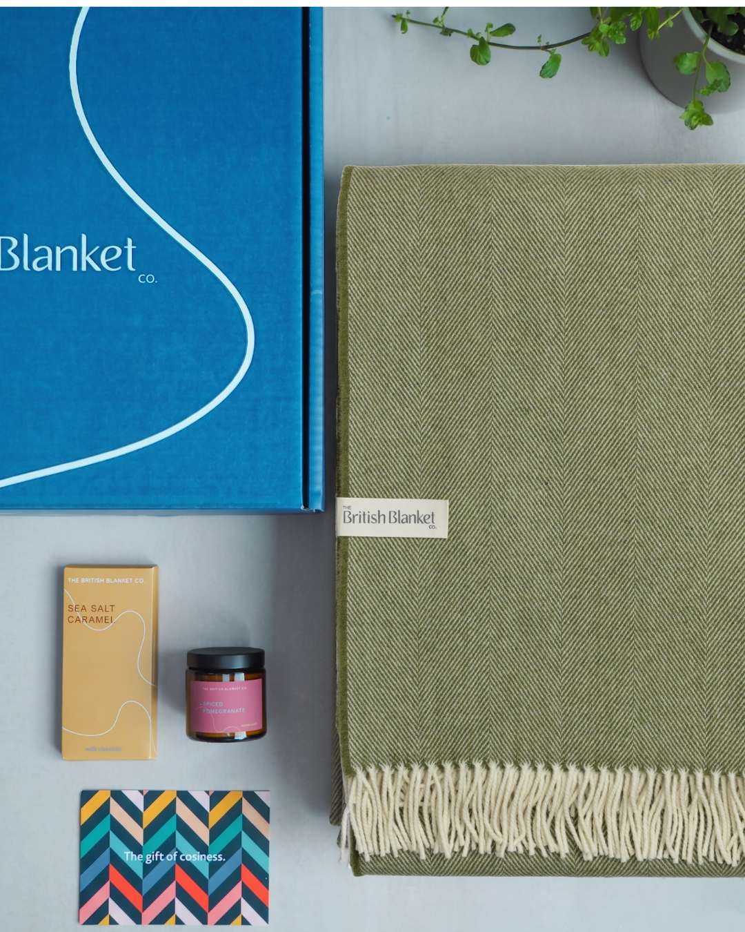 Merino Blanket Gift Box: Olive Green