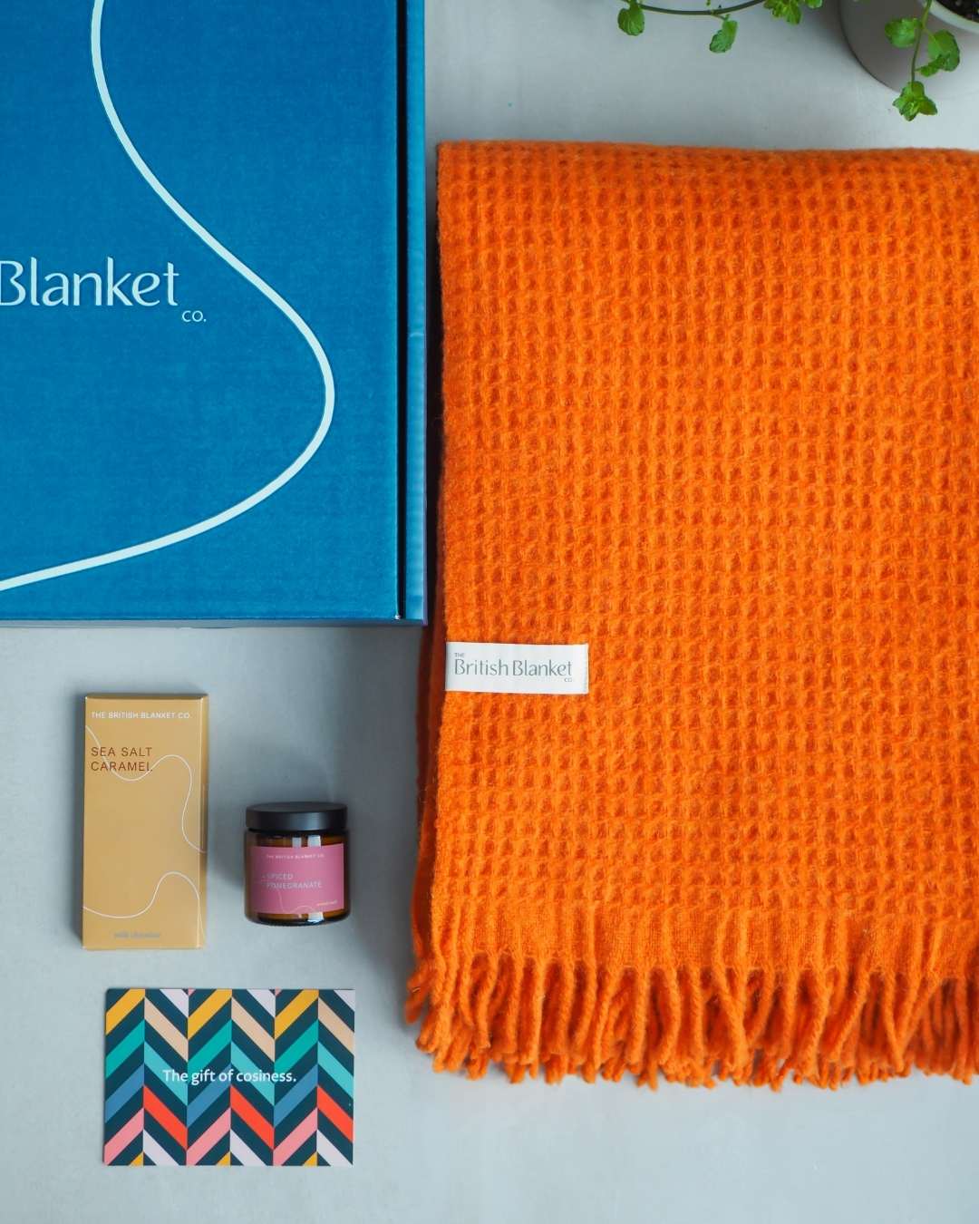 Totterdown Blanket Gift Box: Beacon