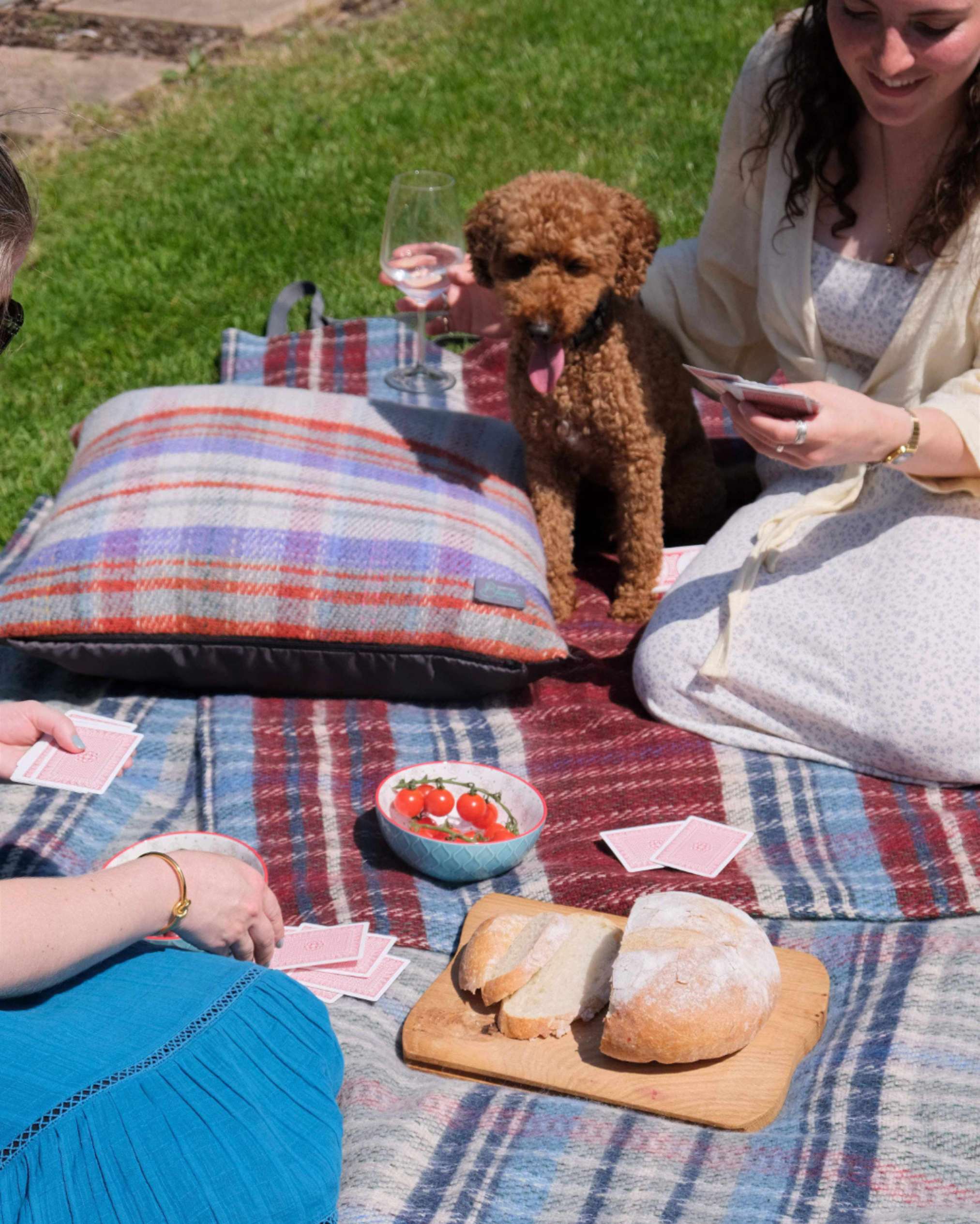 Waterproof Picnic Blanket With Shoulder Strap : Random Recycled