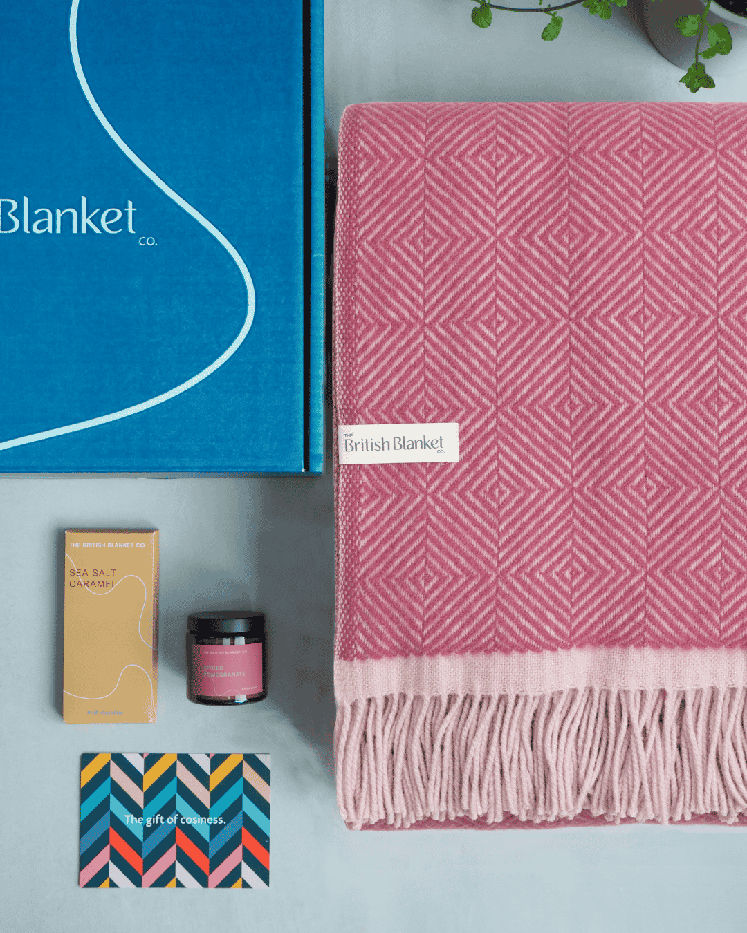 Wildweave Blanket Gift Box: Clover & Briar Rose