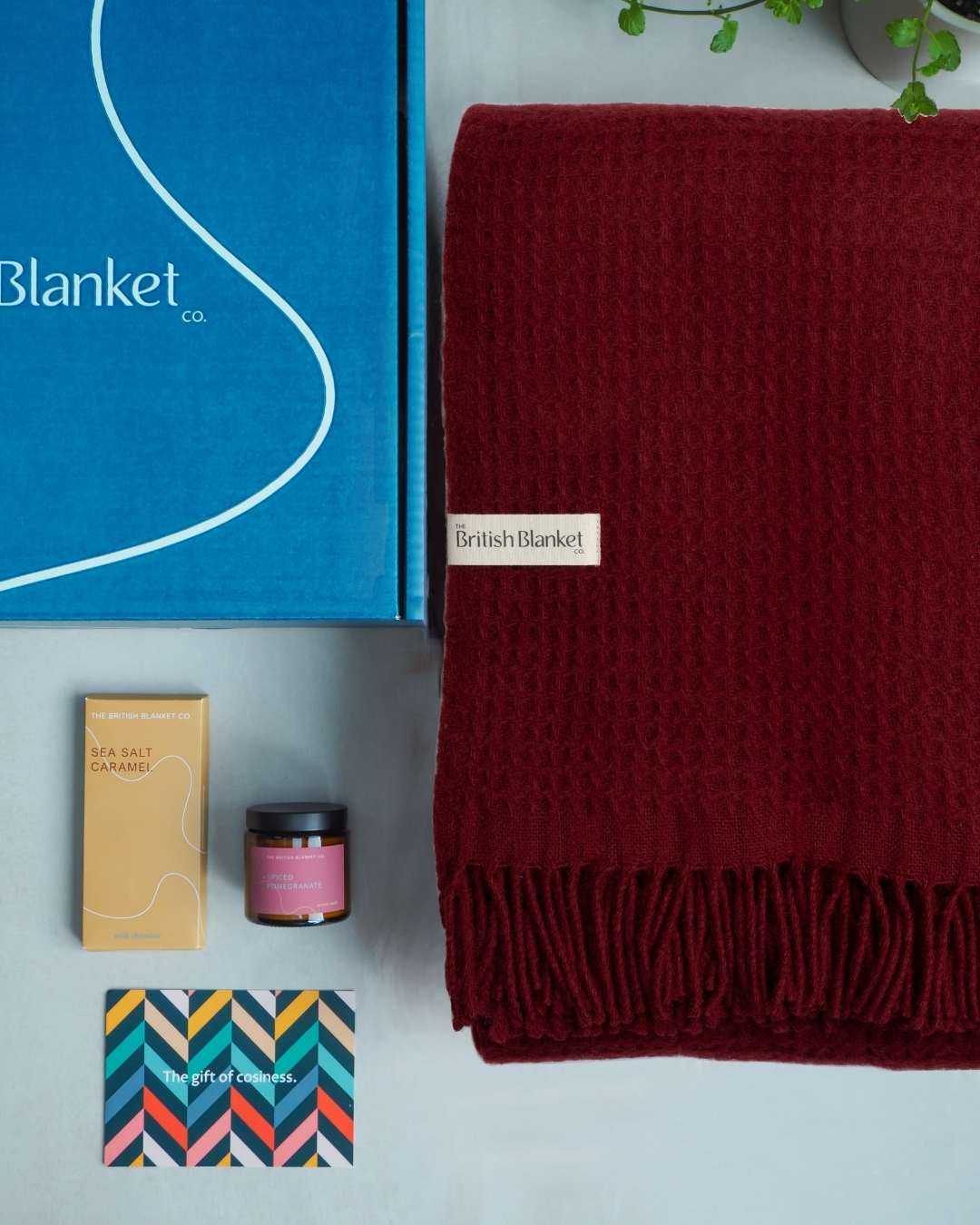 Totterdown Blanket Gift Box: Air Balloon
