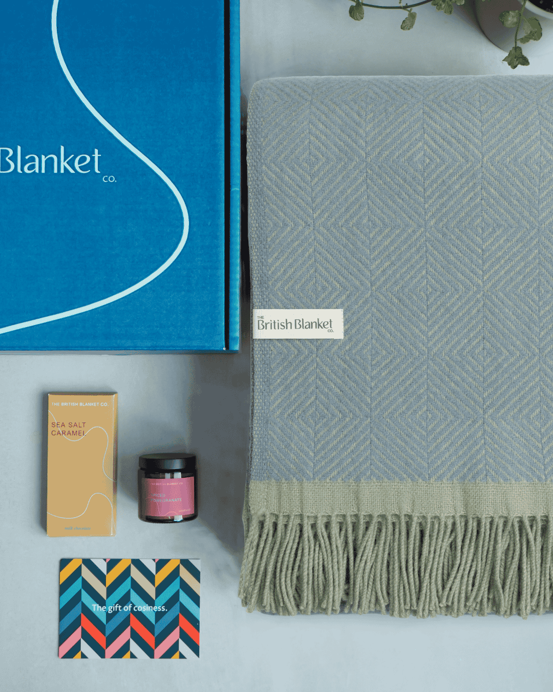 Wildweave Blanket Gift Box: Sea Holly & Lichen