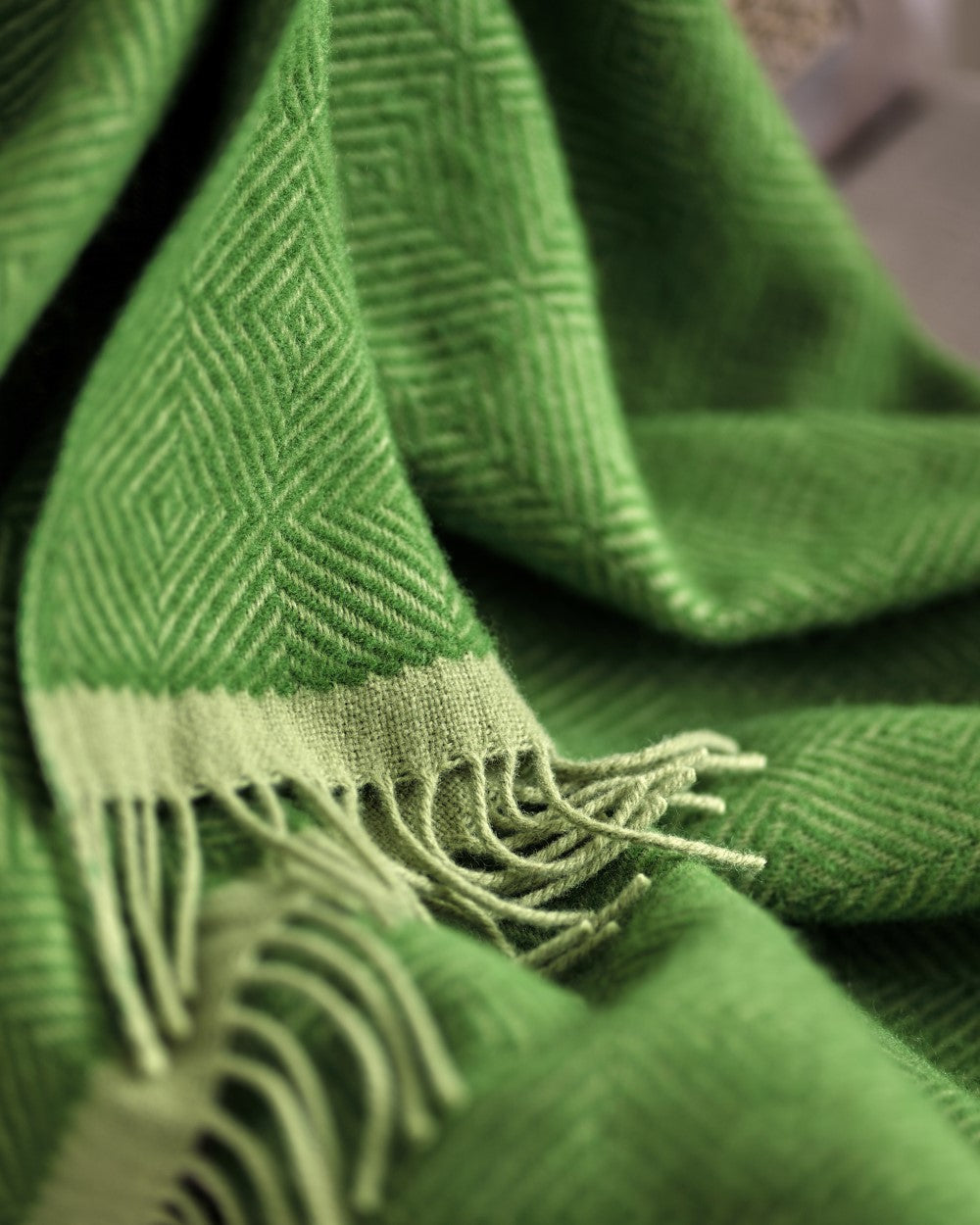 Wildweave Blanket Gift Box: Fennel & Catkin features a green woven wool blanket with a subtle pattern and fringe, ideal for gifting warmth and coziness.