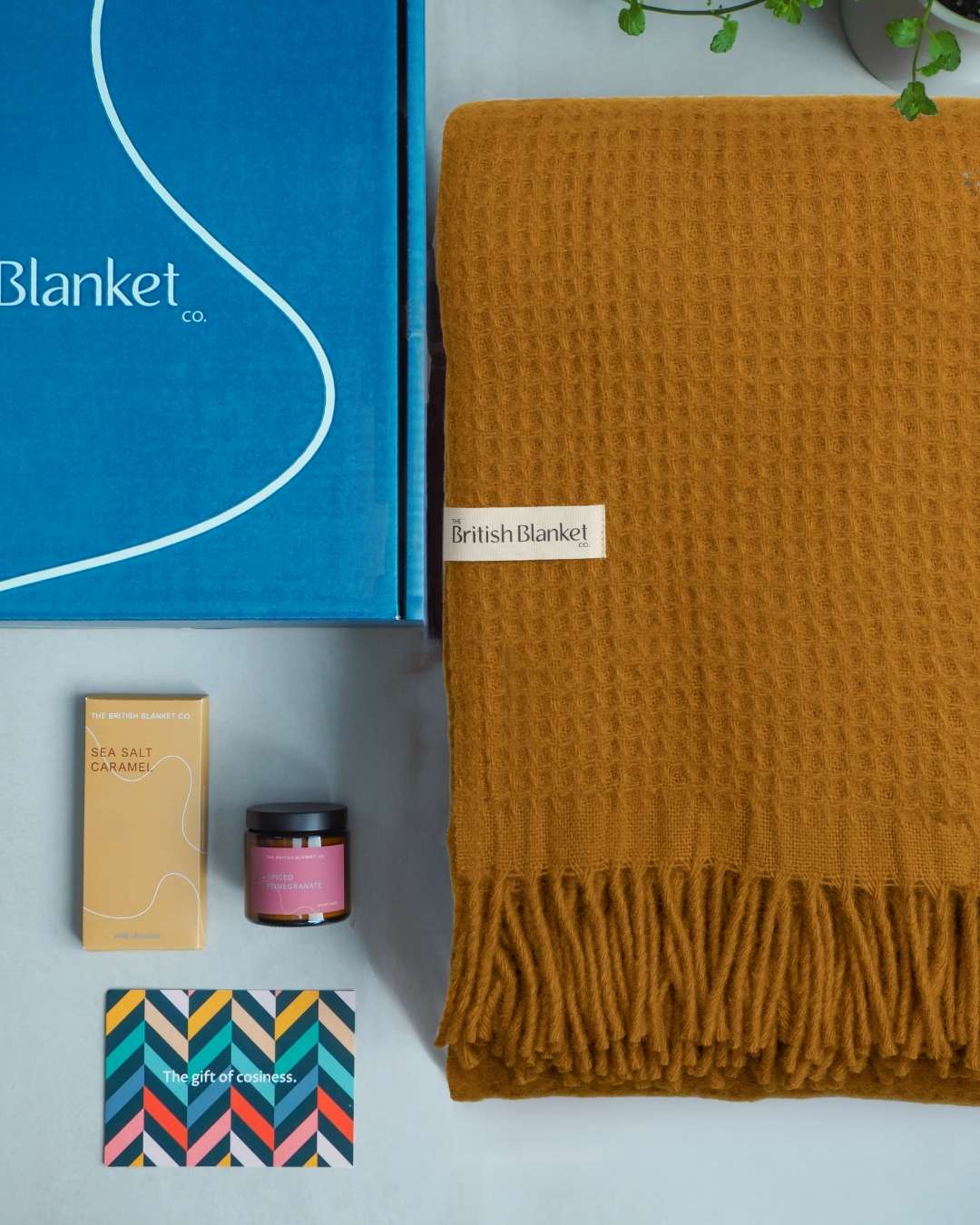 Totterdown Blanket Gift Box: Ashton