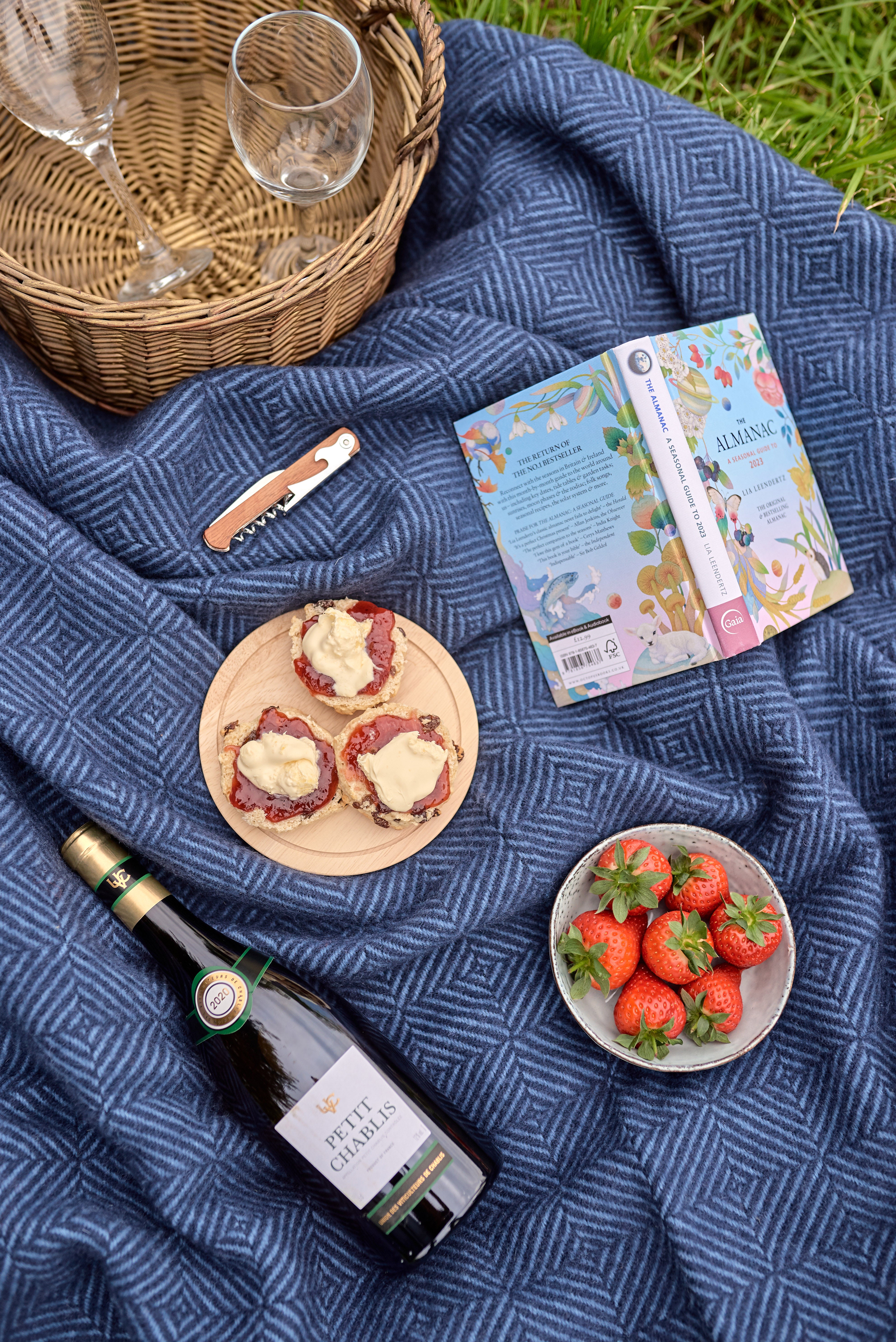 Waterproof Picnic Blanket: Midnight and Dusk with food, wine bottle, strawberries, and a book on it, perfect for outdoor gatherings.