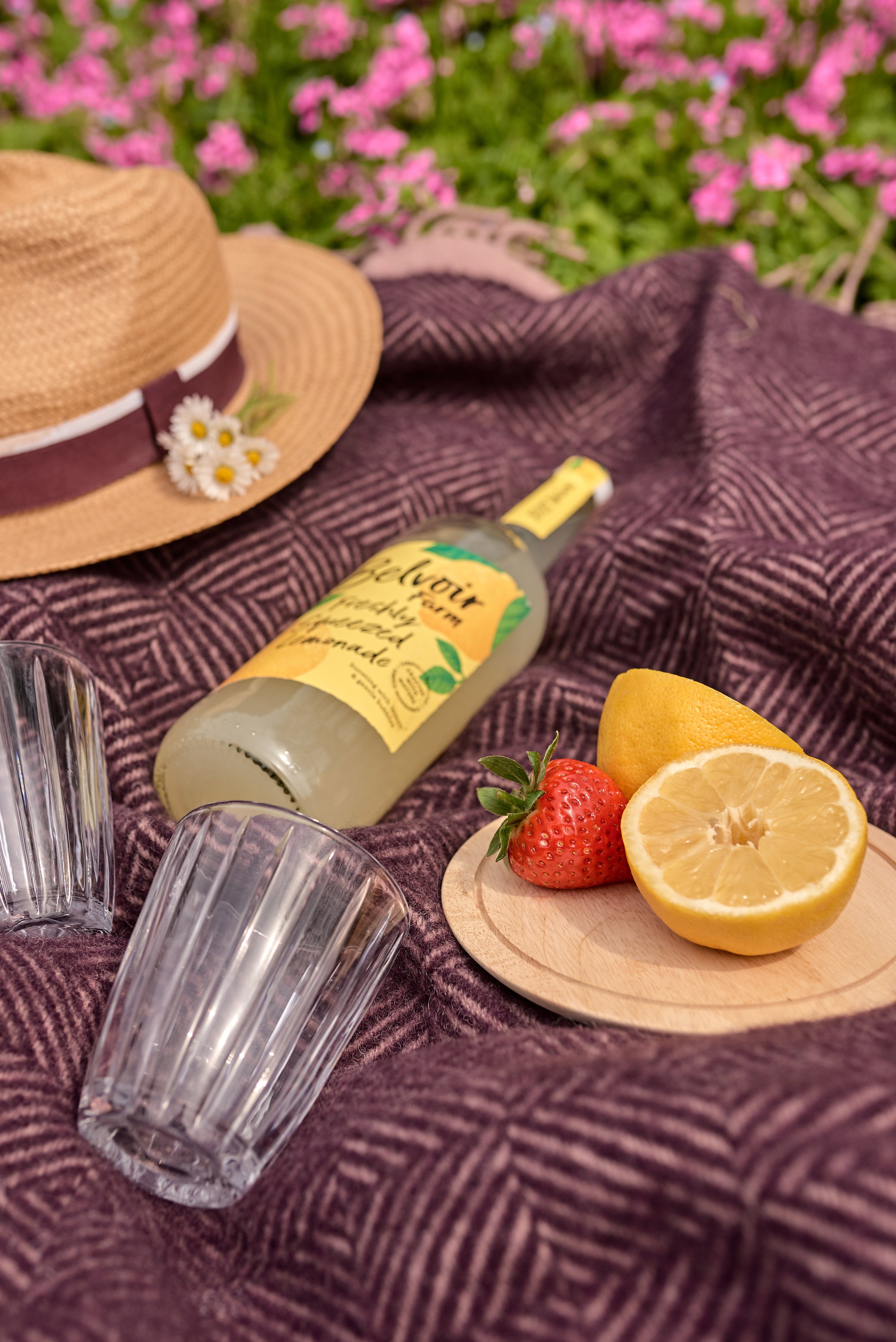 Waterproof picnic blanket with straw hat, lemons, strawberries, and lemonade bottle, highlighting the Blackberry and Heather design.