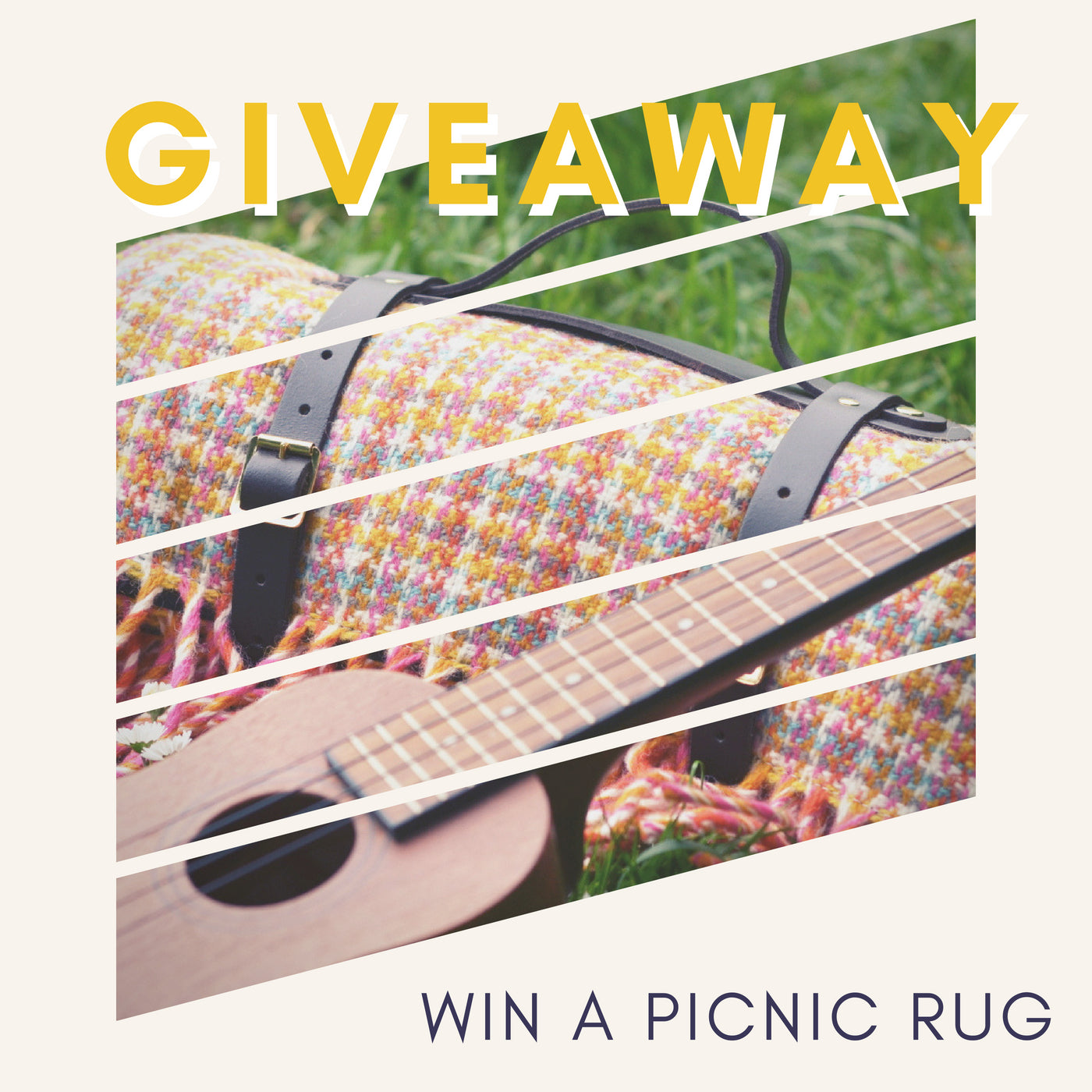 GIVEAWAY! Win a luxury picnic rug worth £99