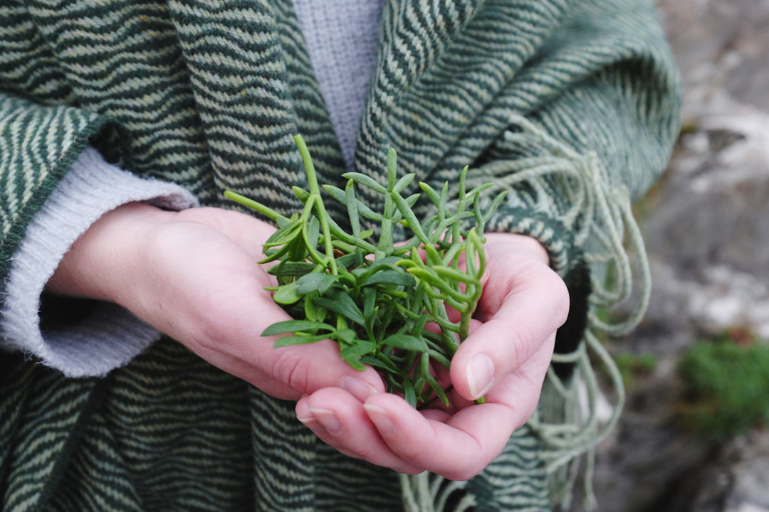 How foraging in Devon inspired our wool blankets