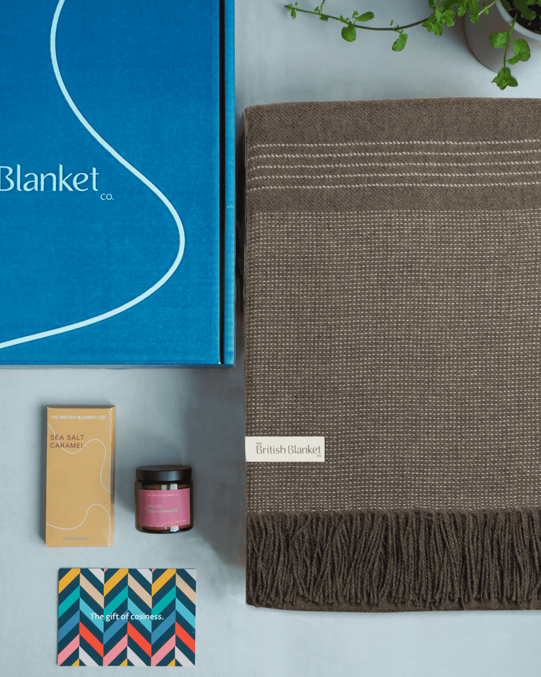 Alpaca Blanket Gift Box: Mocha Brown