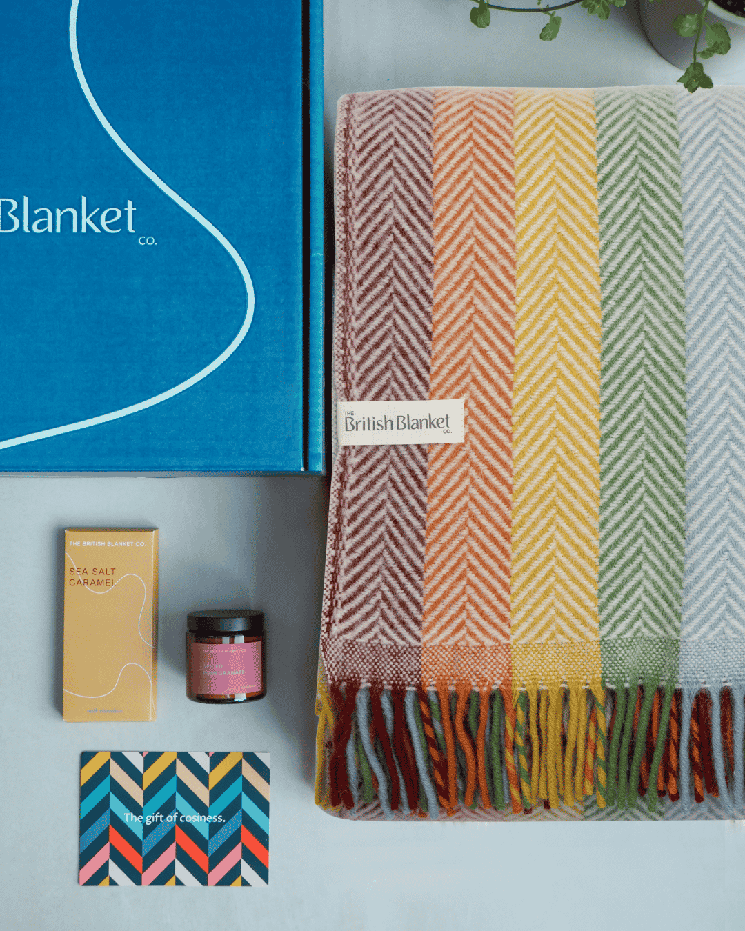 Rainbow Stripe Blanket Gift Box: Bright