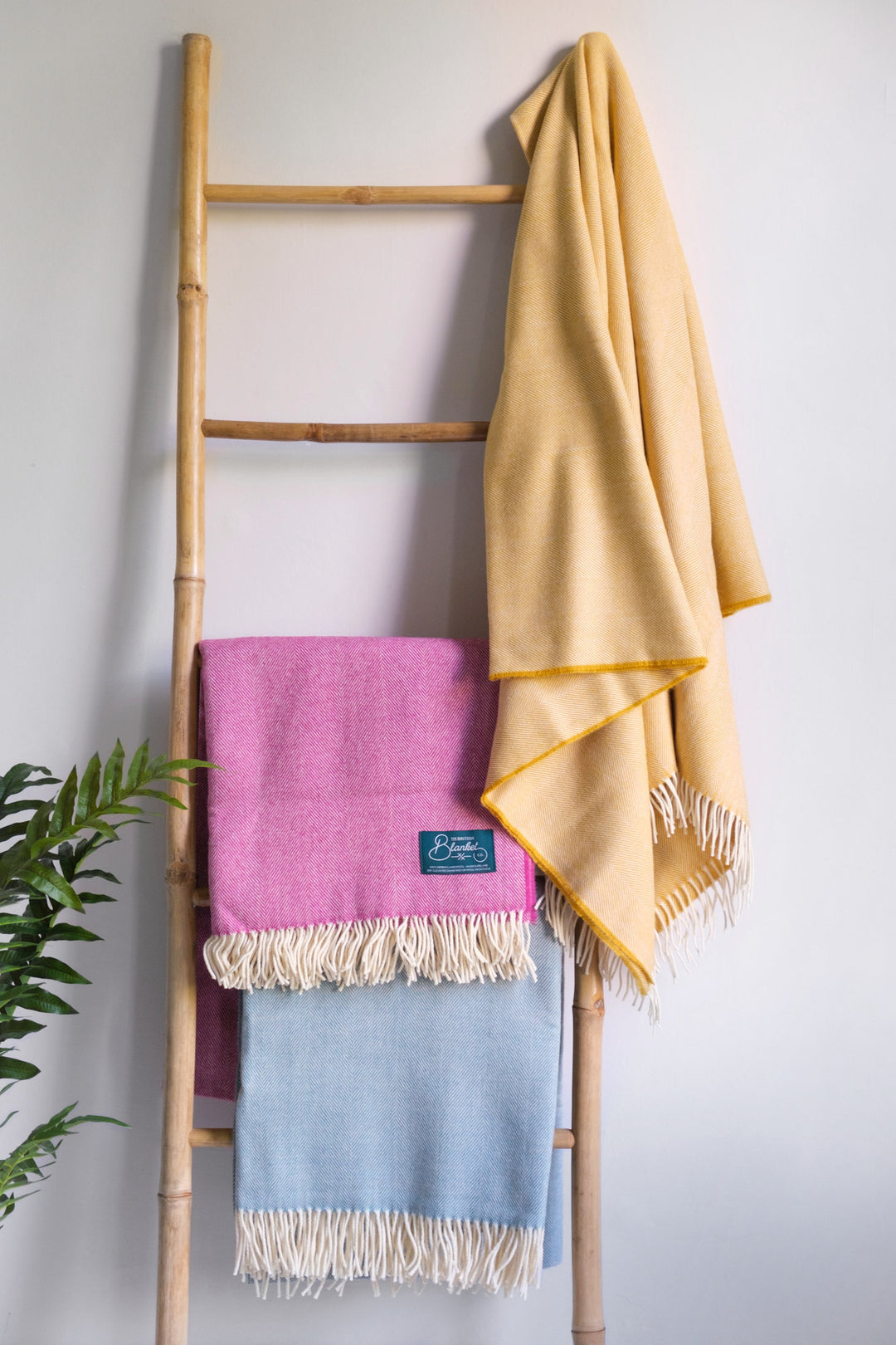 Pink, blue and yellow merino wool throws hanging on a ladder from The British Blanket Company