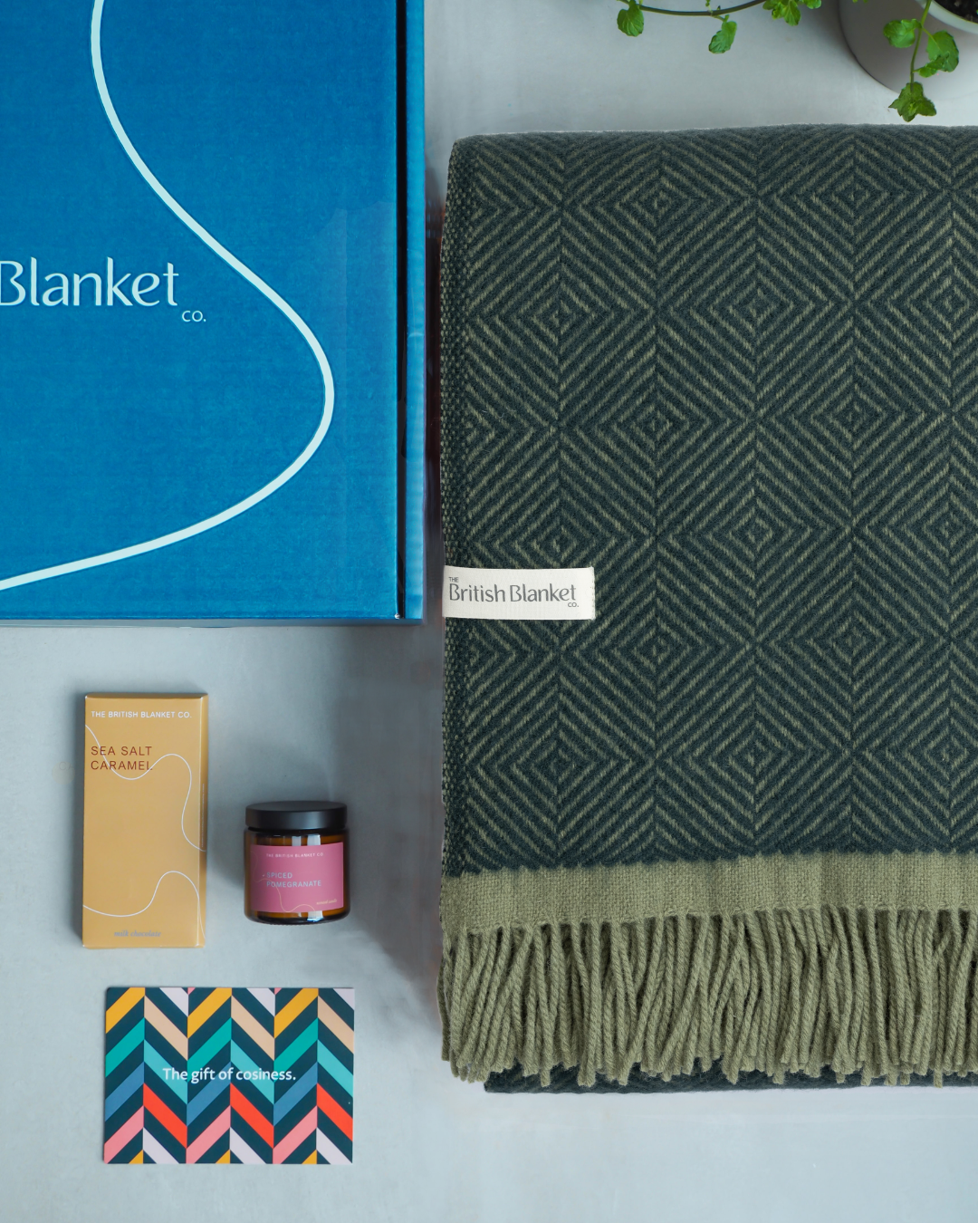 Wildweave Blanket Gift Box: Juniper & Moss
