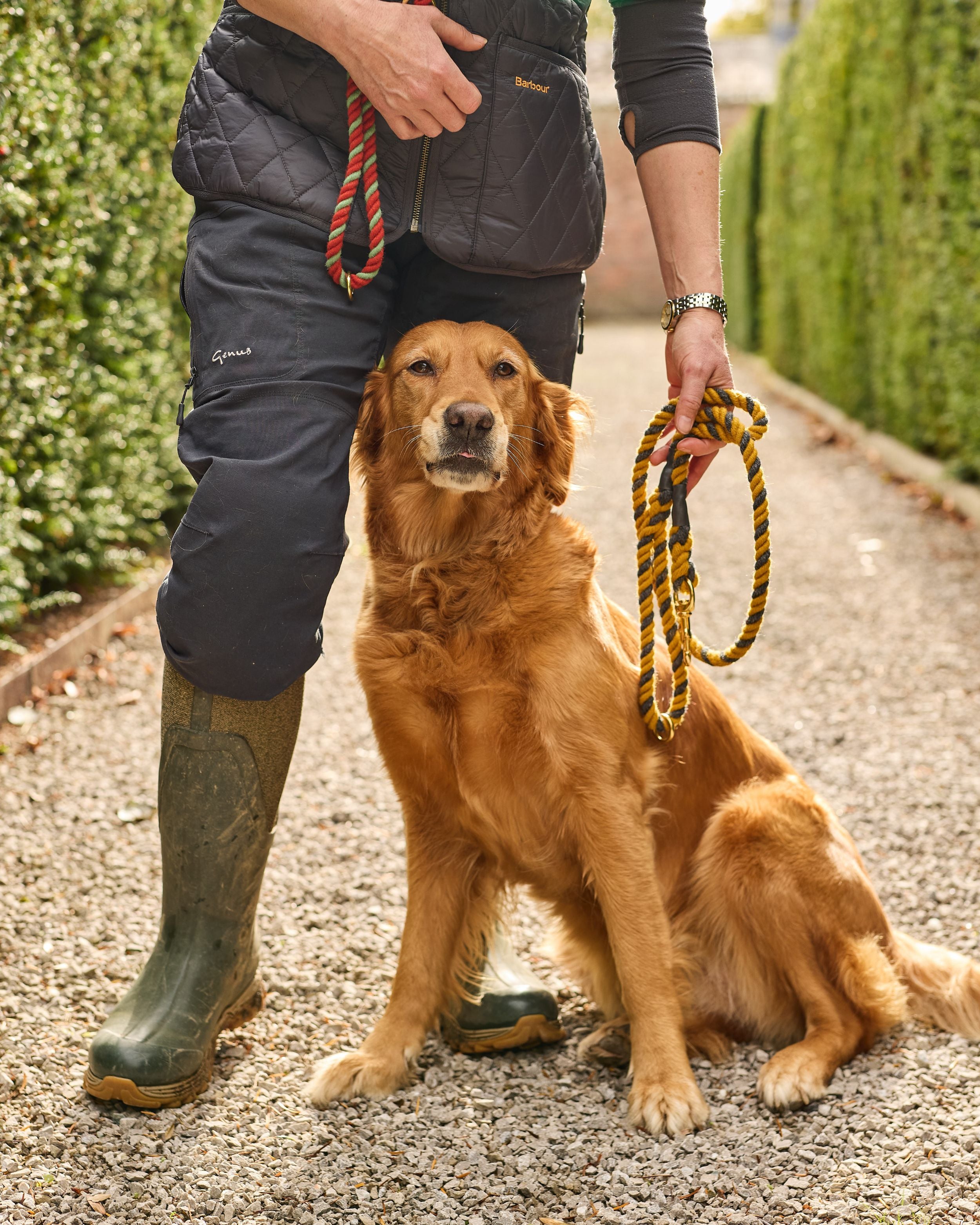 Wool Rope Dog Lead: Mustard Yellow and Charcoal