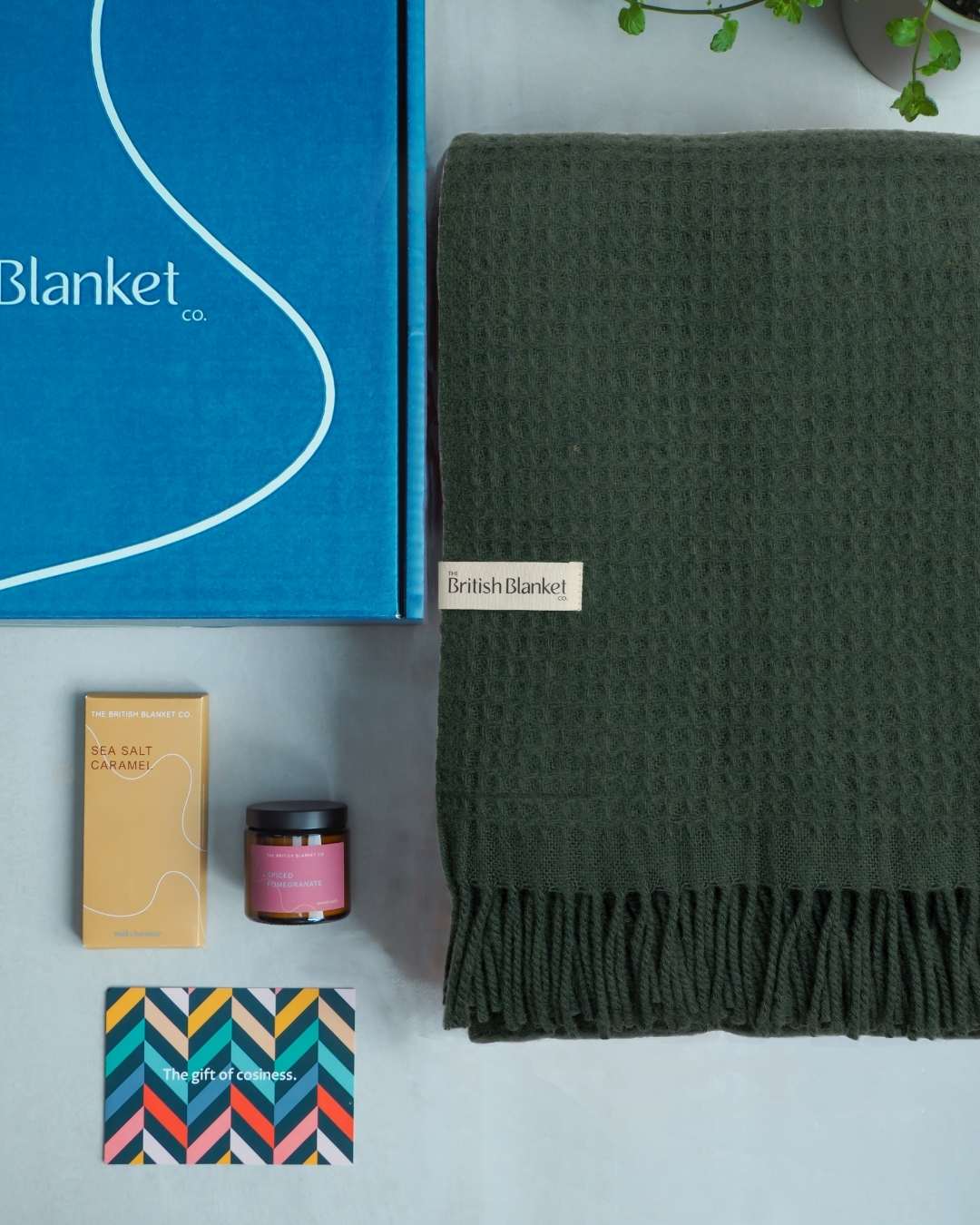 Totterdown Blanket Gift Box: College Green