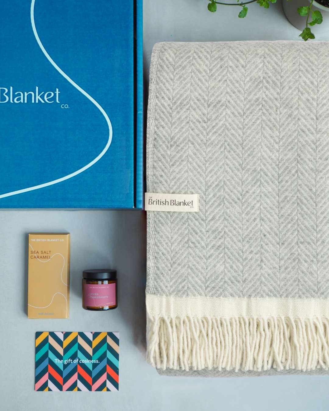 Clifton Blanket Gift Box: Blanquette