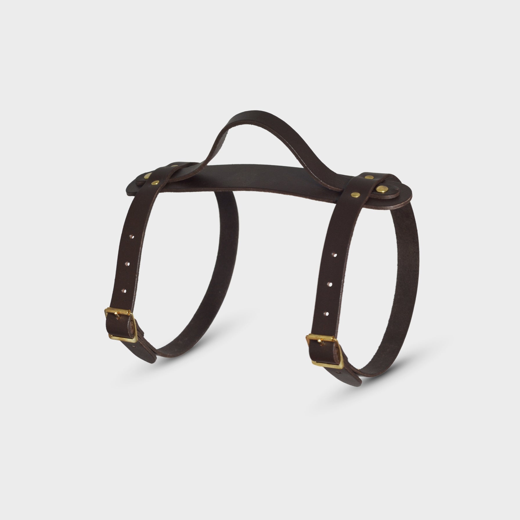Leather Blanket Carry Straps (A)