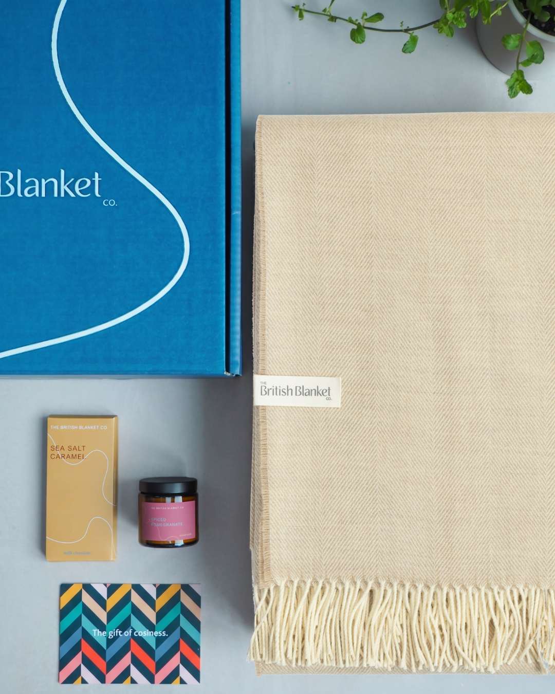 Merino Blanket Gift Box: Basswood