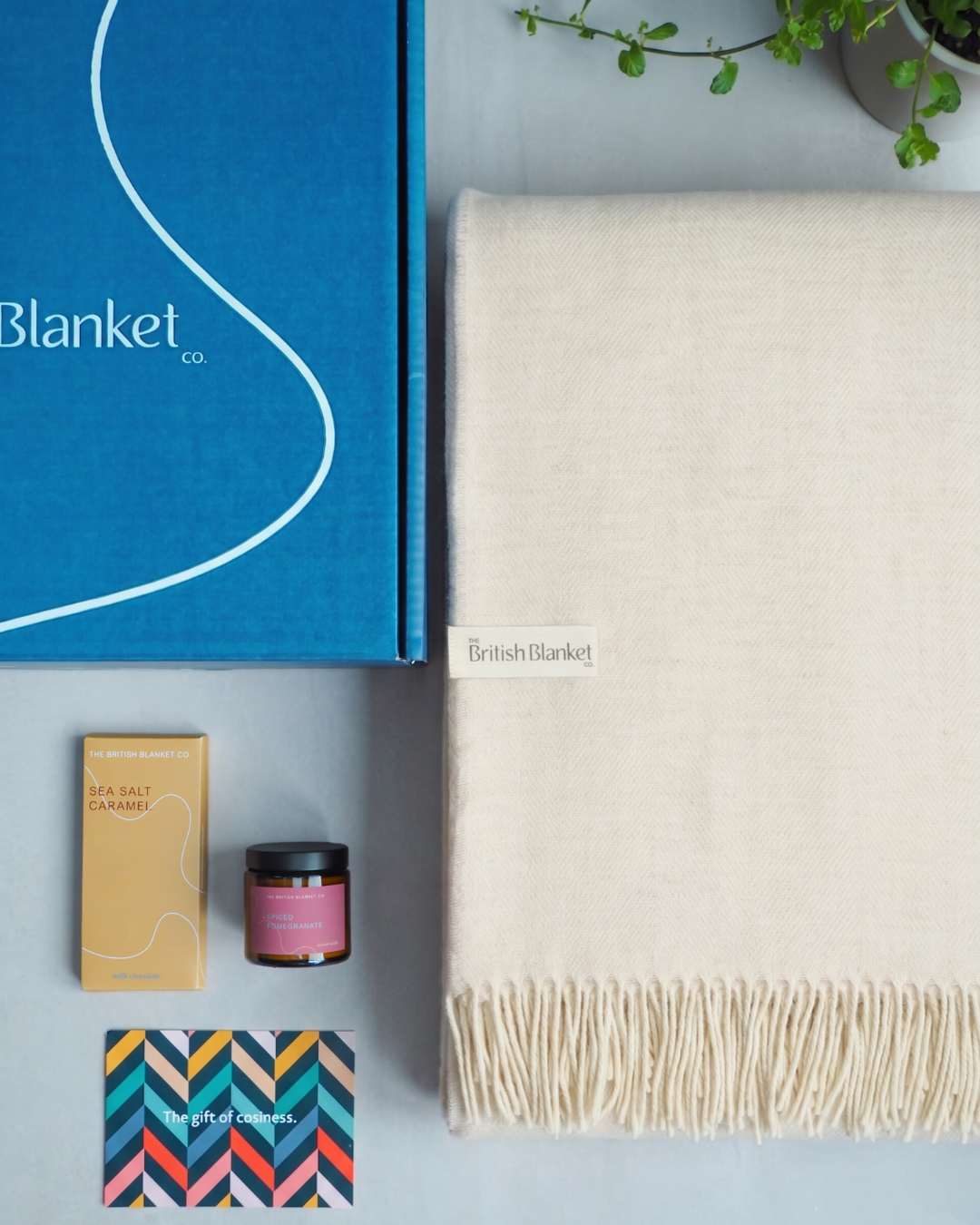 Merino Blanket Gift Box: Cream
