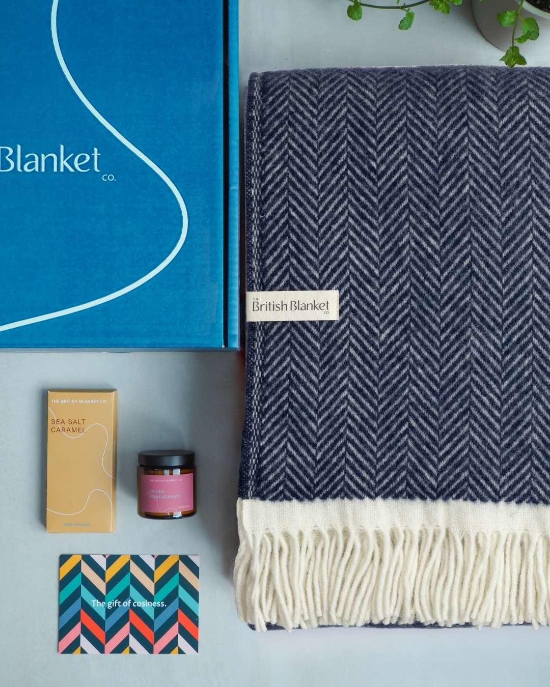 Clifton Blanket Gift Box: Brunel