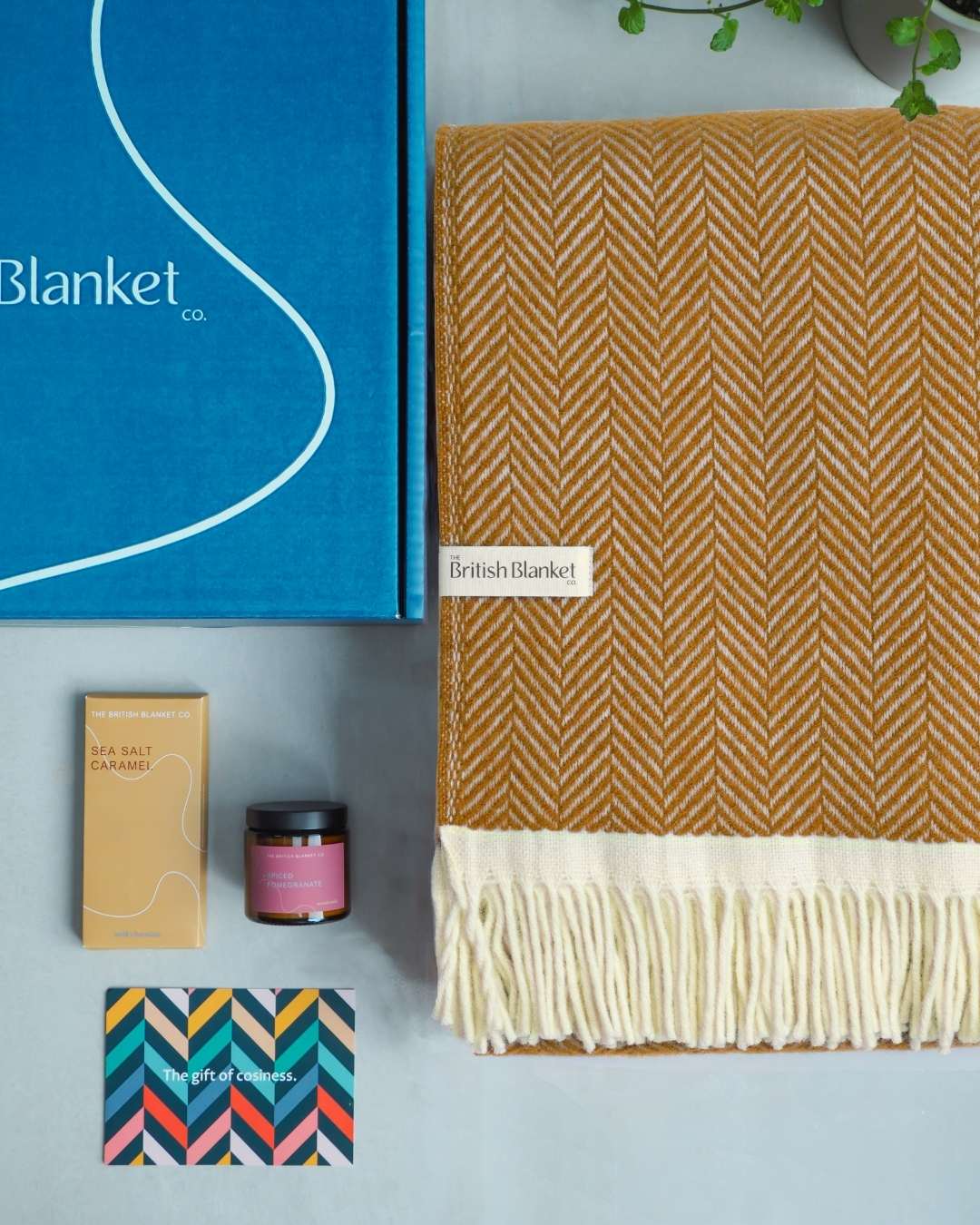 Clifton Blanket Gift Box: Spiced Cider