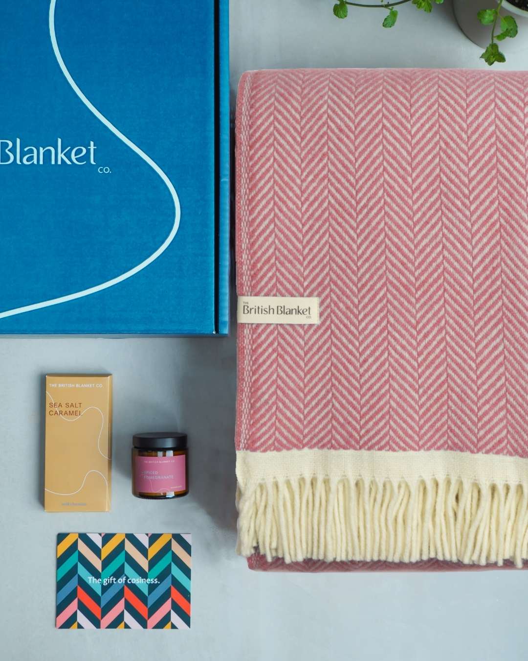 Clifton Blanket Gift Box: Rose