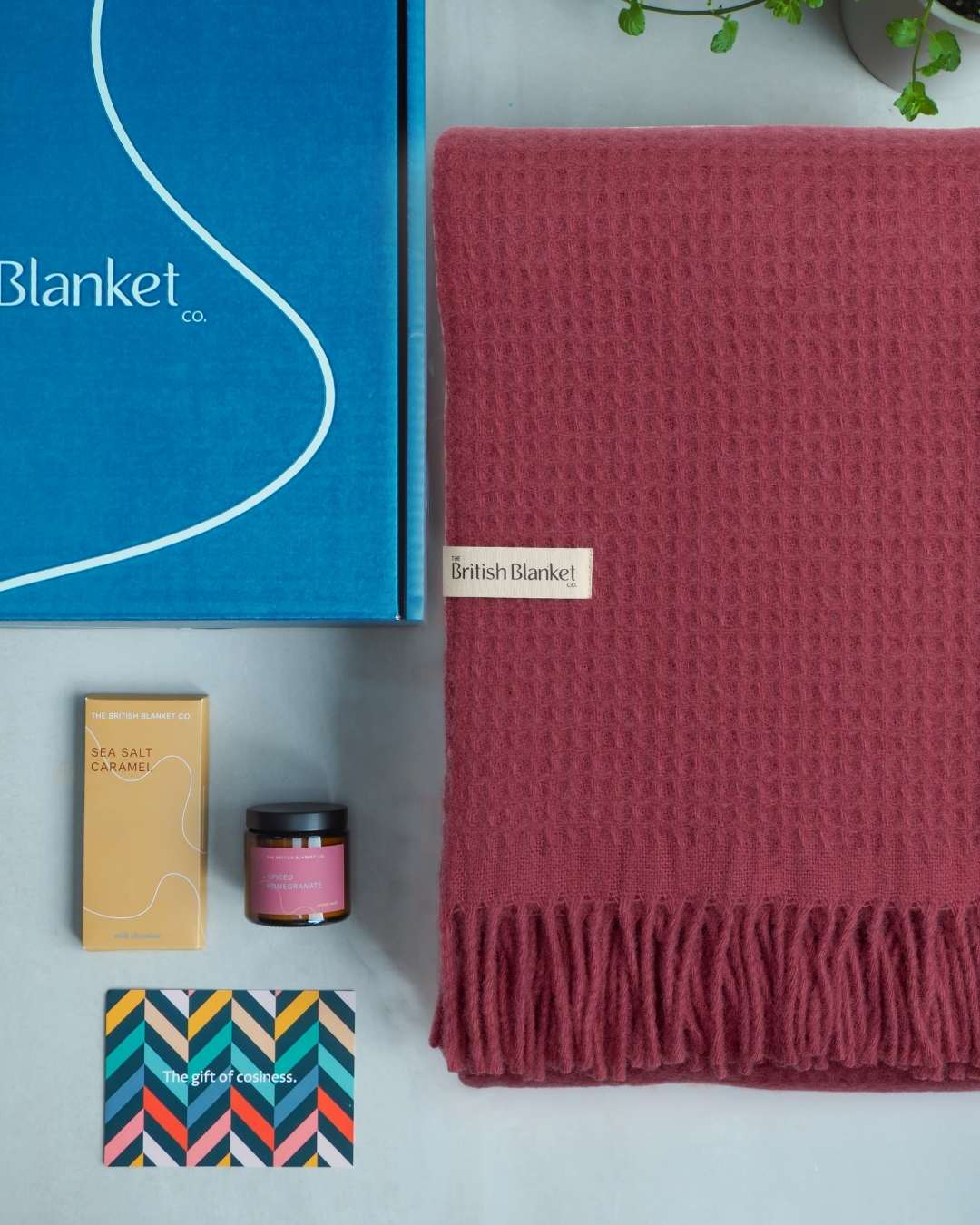 Totterdown Blanket Gift Box: Lush