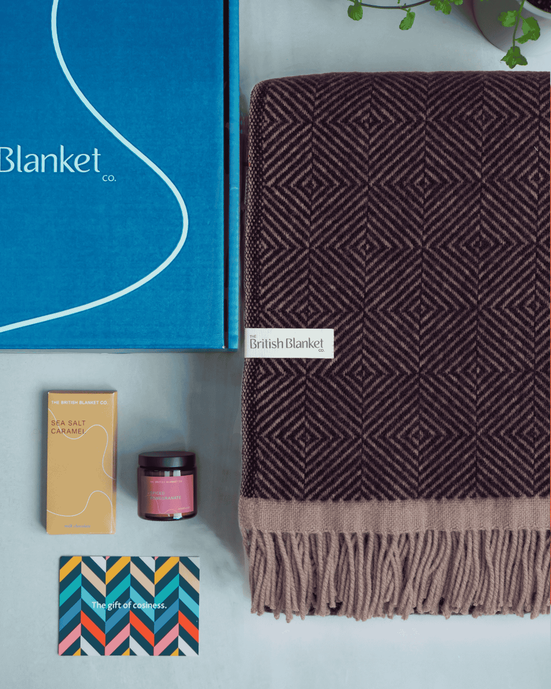Wildweave Blanket Gift Box: Blackberry & Heather