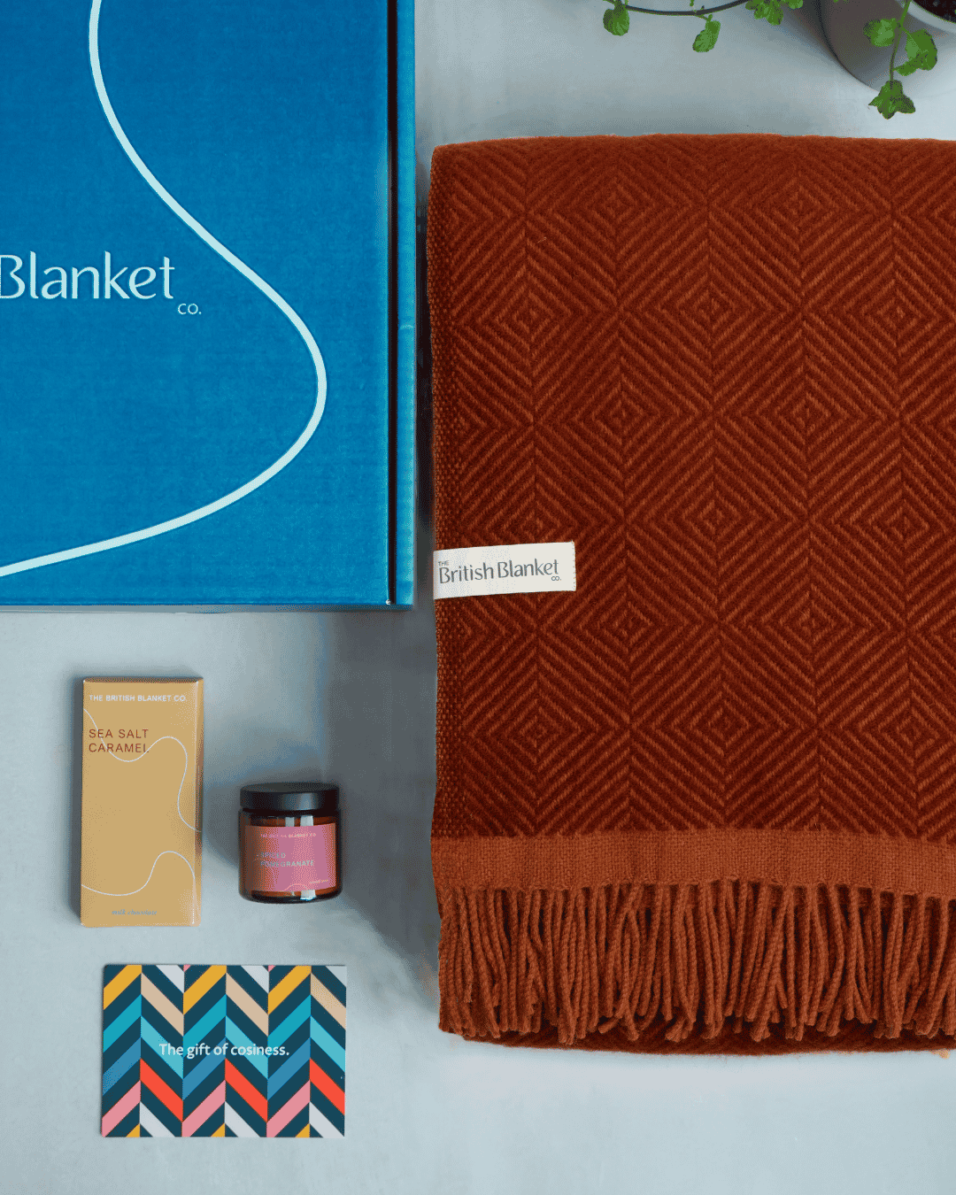 Wildweave Blanket Gift Box: Rowan & Beech