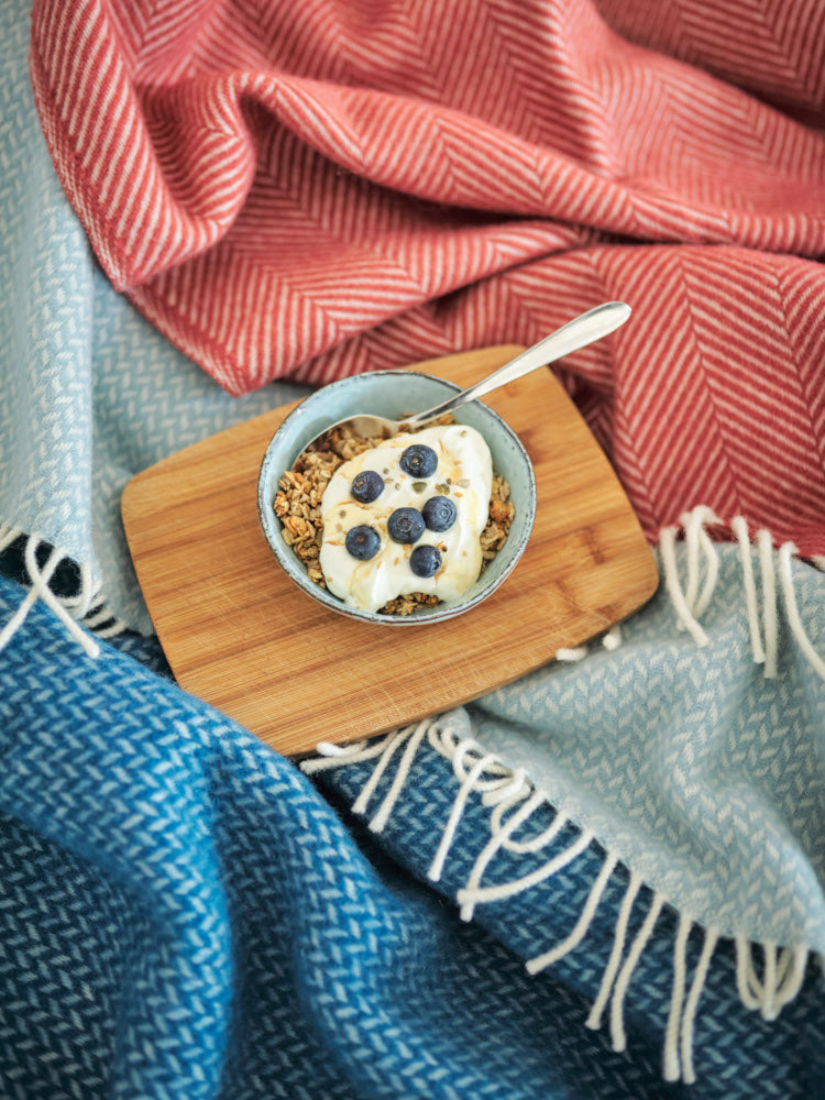wool blankets with breakfast - granola yogurt and blueberries