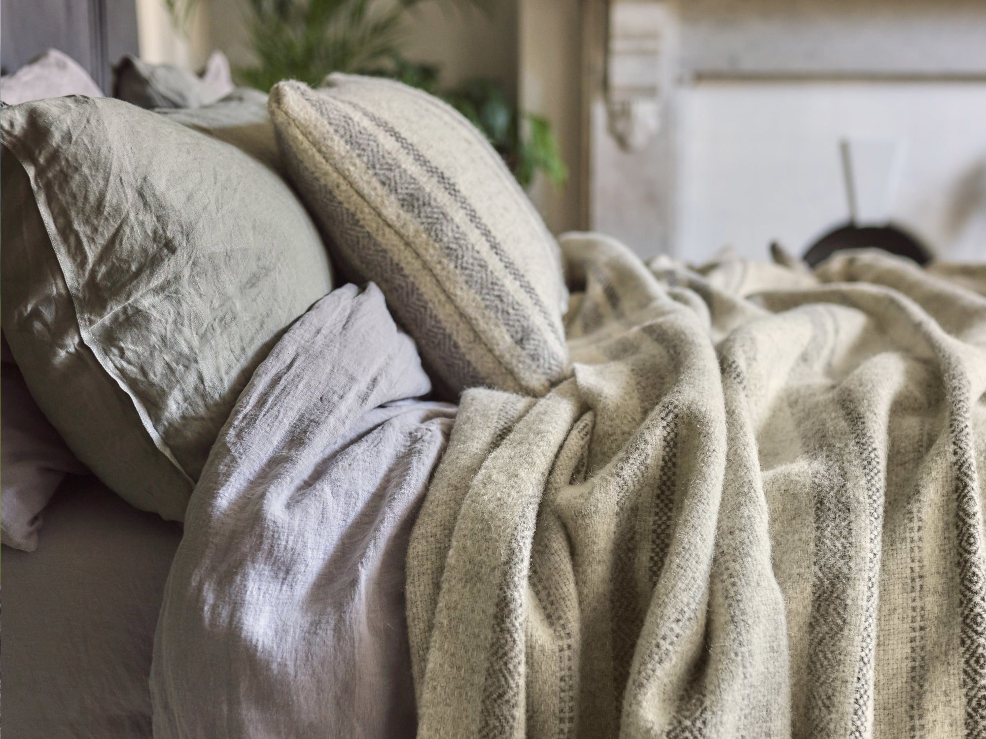 100% British Wool Collection by The British Blanket Company