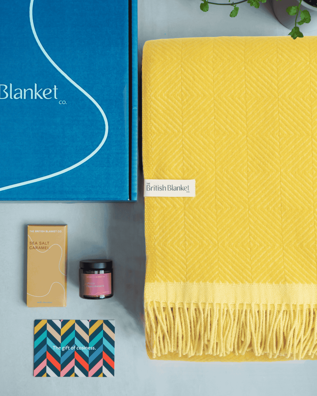 Wildweave Blanket Gift Box: Buttercup & Primrose