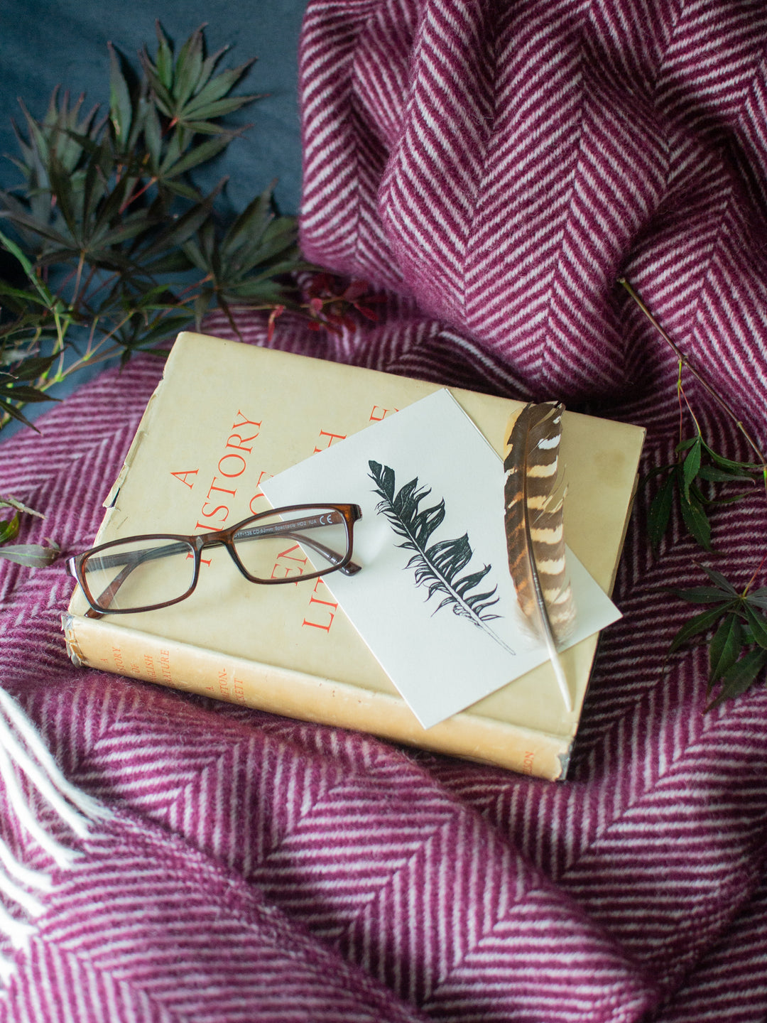 A book, a picture, a feather, and a pair of glasses placed on top of a burgundy herringbone wool throw.